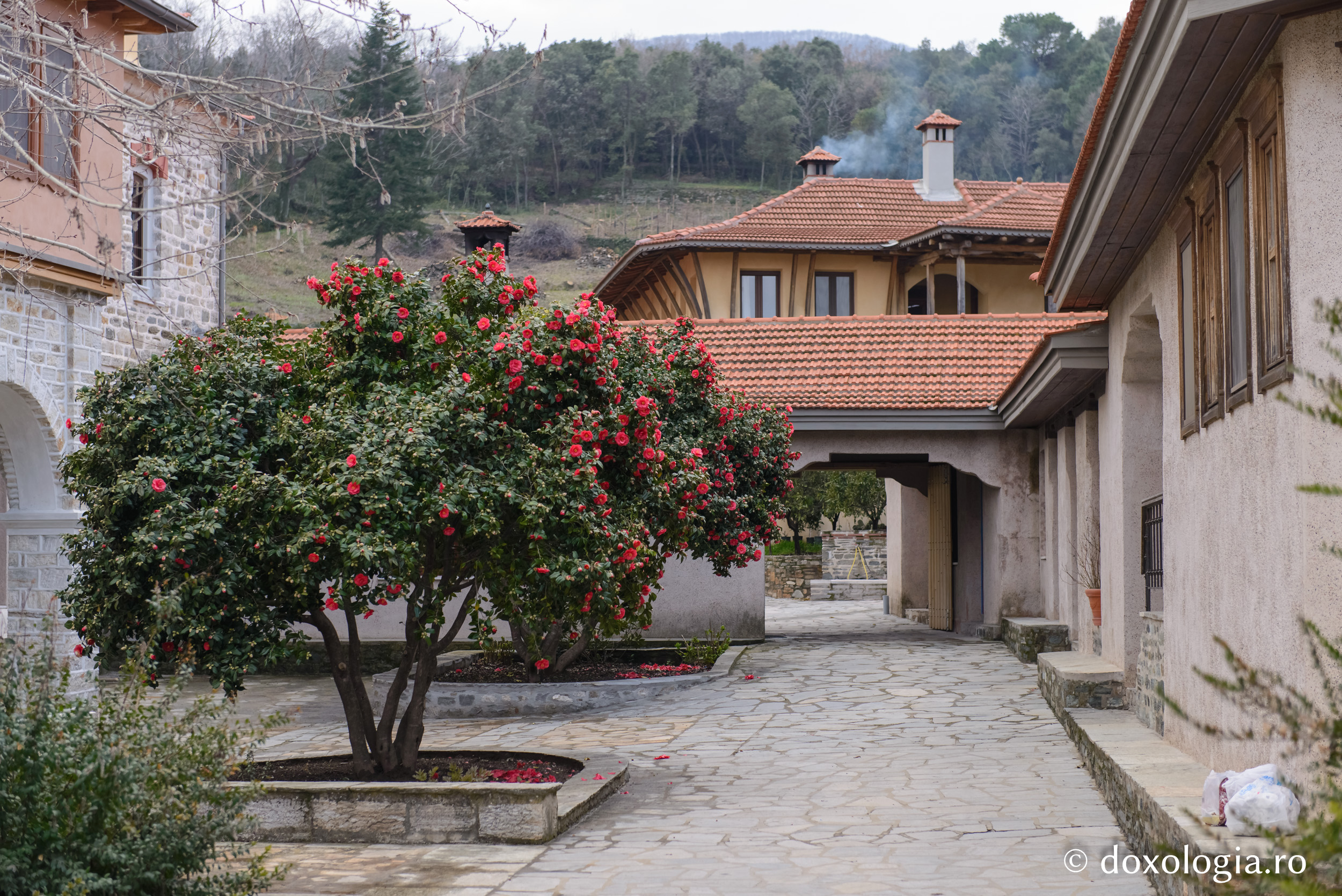 Chilia „Sfântul Ierarh Nicolae” Burazeri – Athos