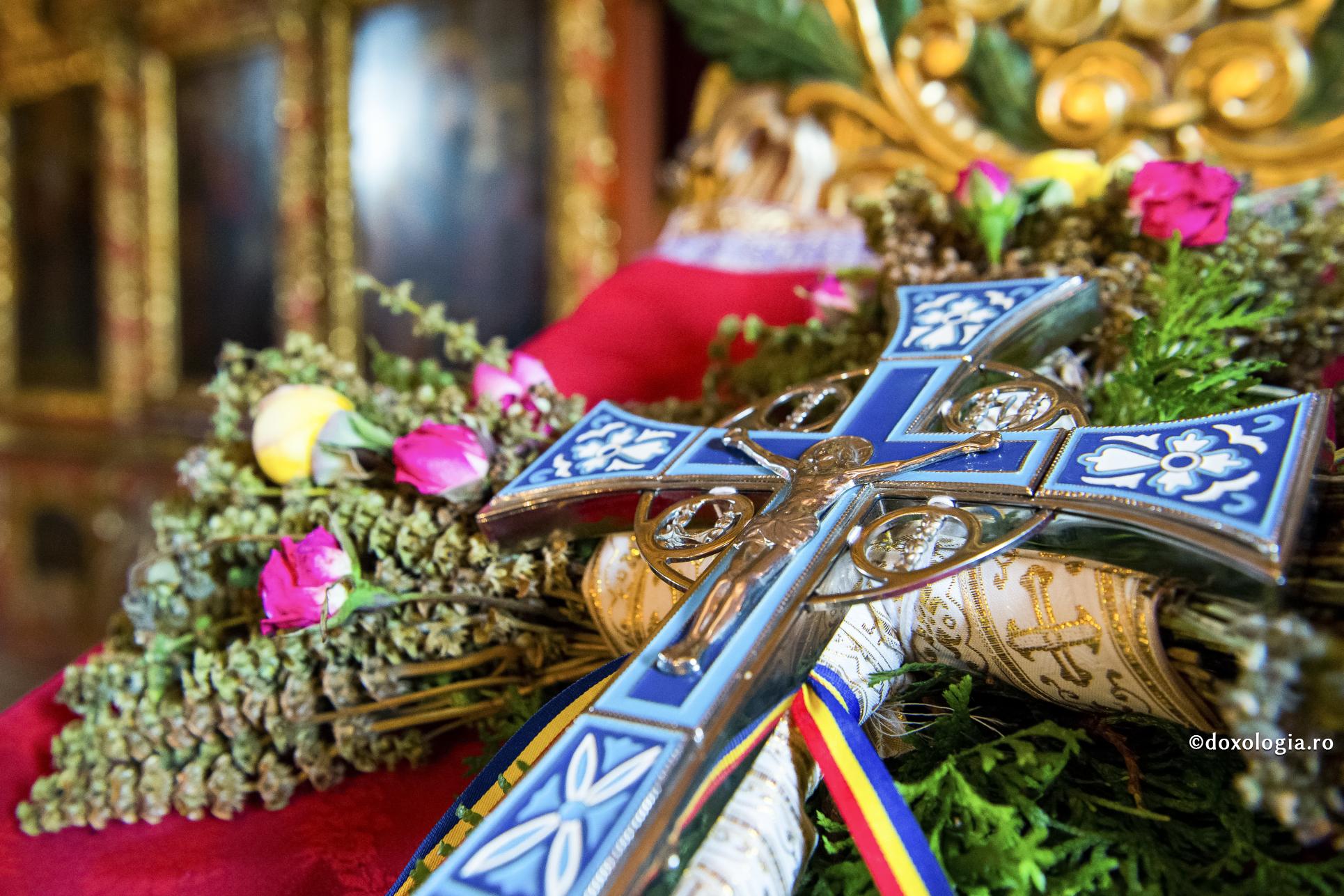 Acceptă cu răbdare toate cele rânduite de la Domnul pentru tine, chiar dacă acum par a fi numai necaz