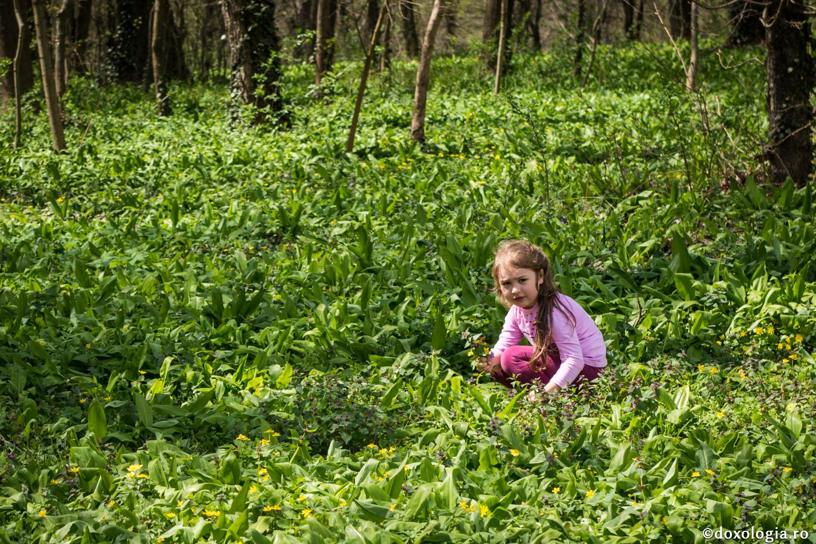 fetiță culegând flori