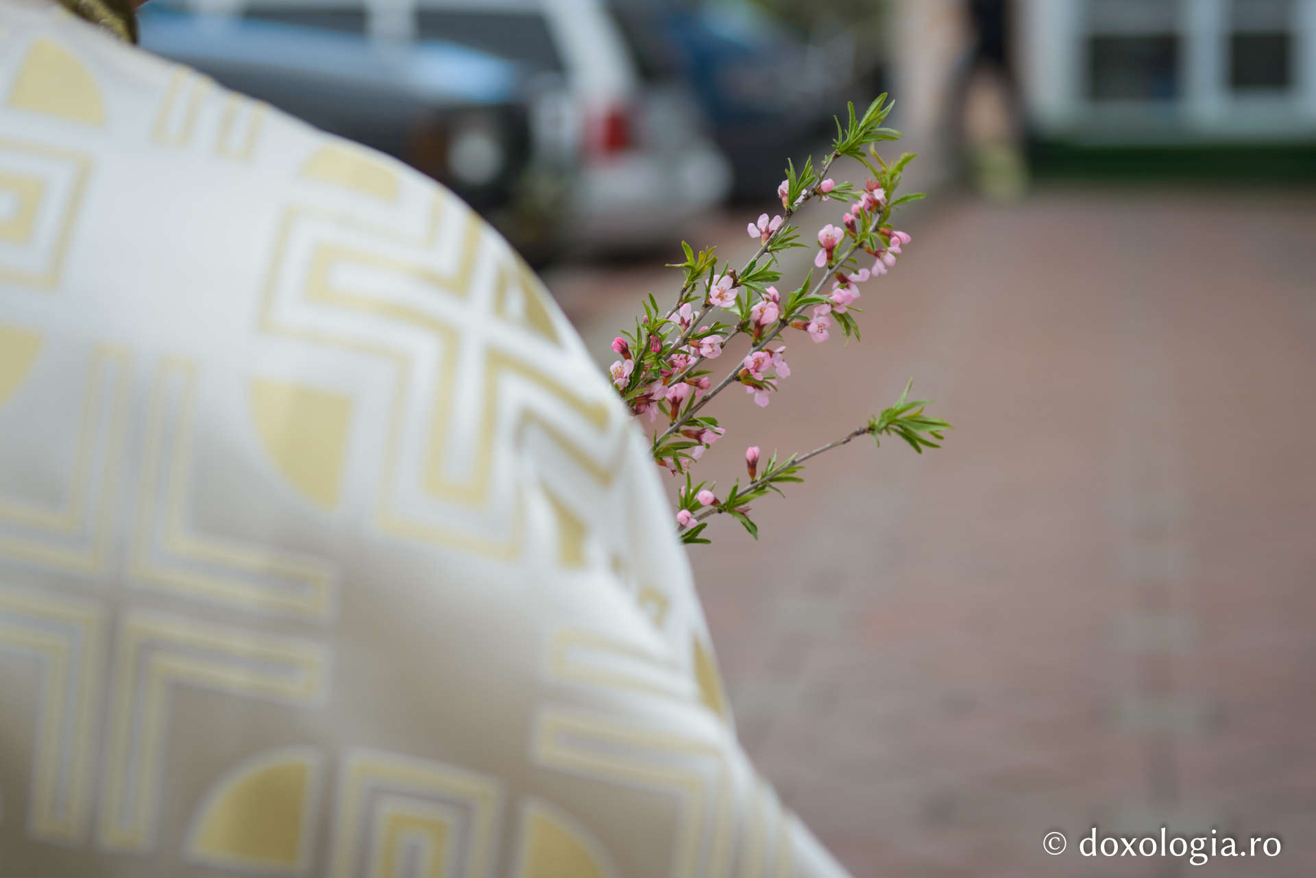 Ajunul Floriilor la Iași: „Ambianța care a dominat această procesiune a fost una de bucurie”