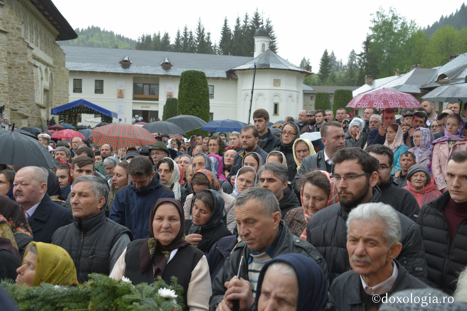 Bucovina și-a cinstit sfinții: Mitropolitul Iacob Putneanul și Cuvioșii Sila, Paisie și Natan au fost trecuți în calendar