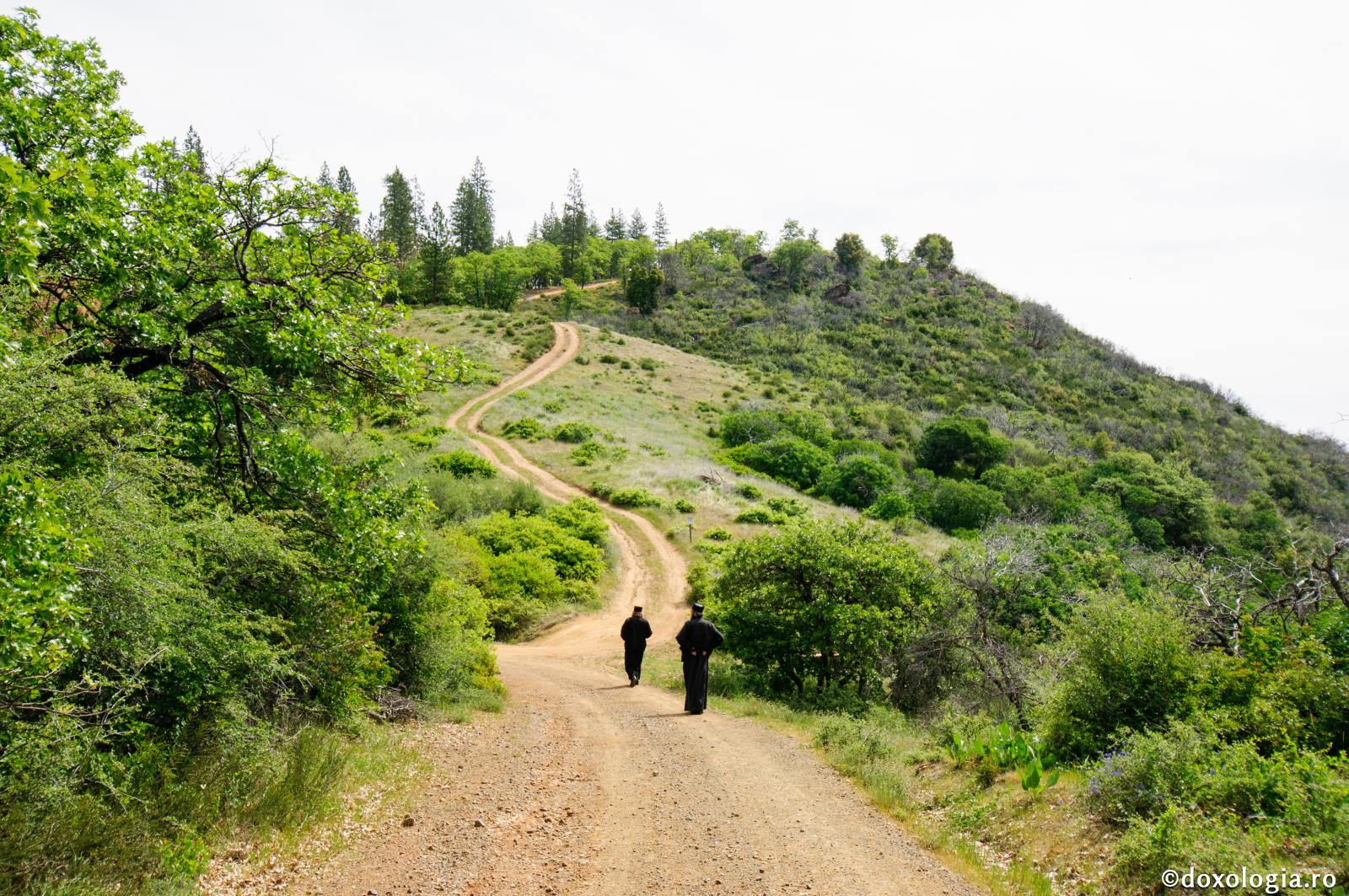 călugări megând pe drum