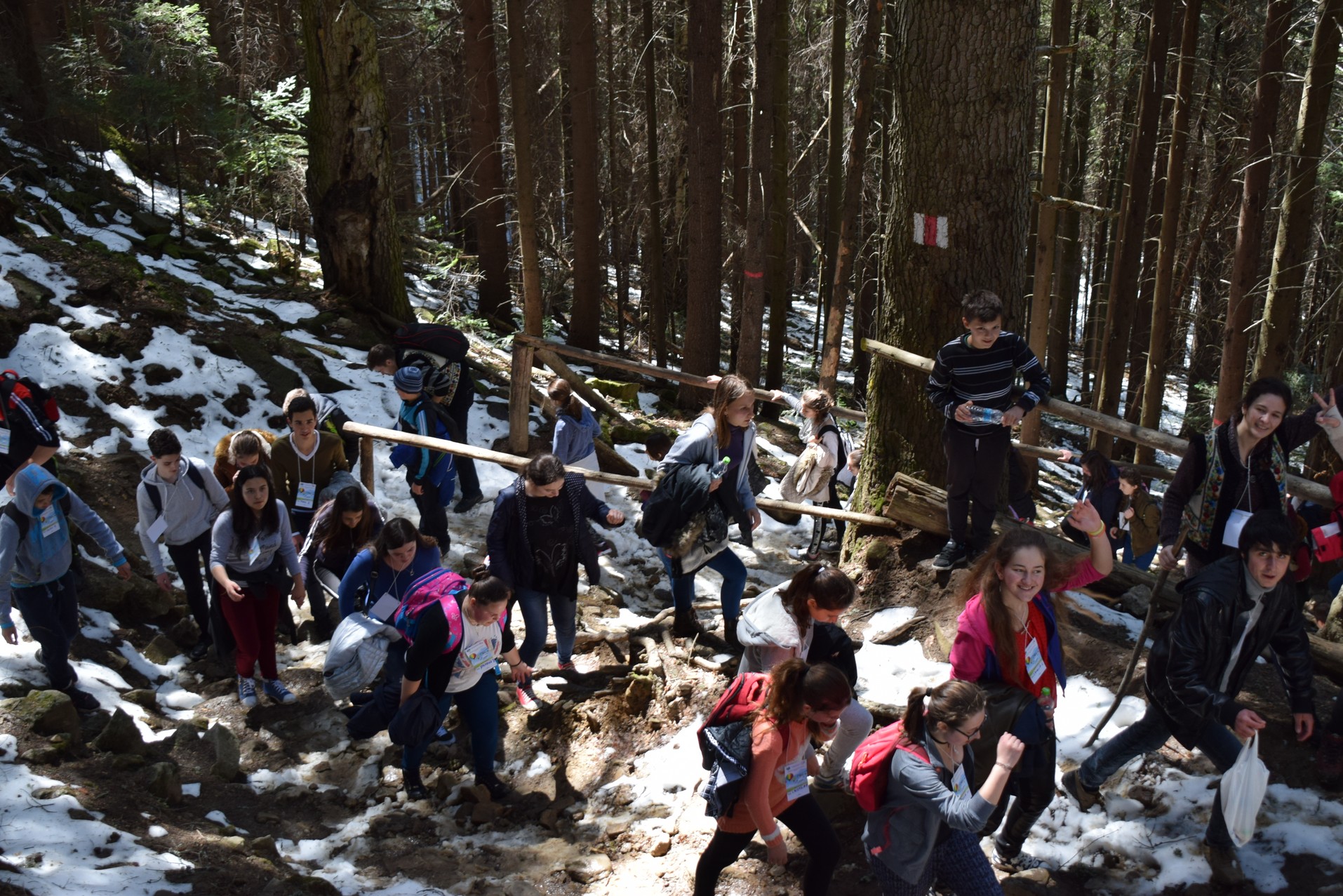 Tinerii de pe Valea Muntelui Ceahlău: „...cum să nu călătorim singuri”