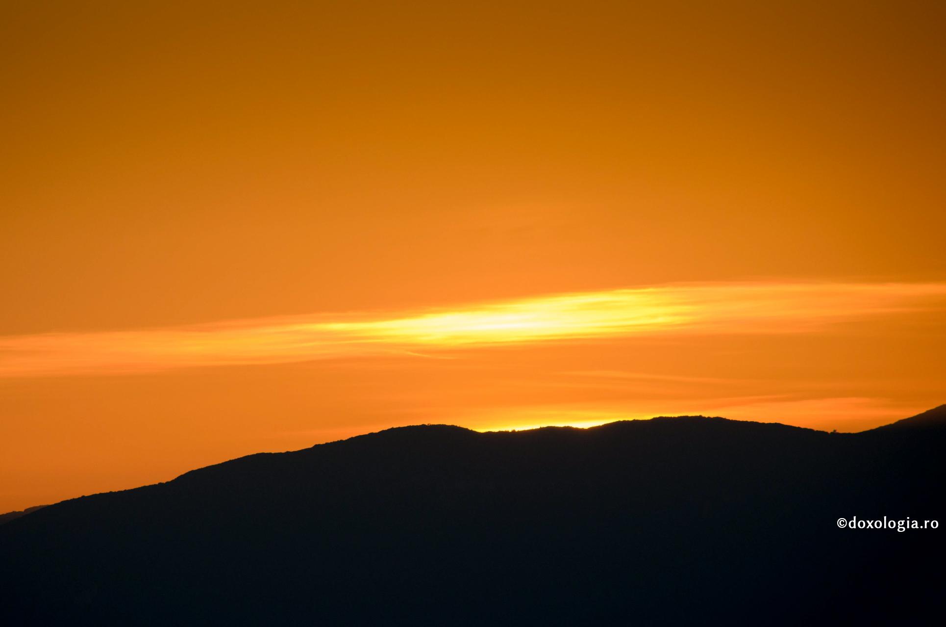 Dacă ai răbdare, iubirea va vindeca tot ce este urât în tine, va vindeca chiar și iubirea care nu este iubire în tine