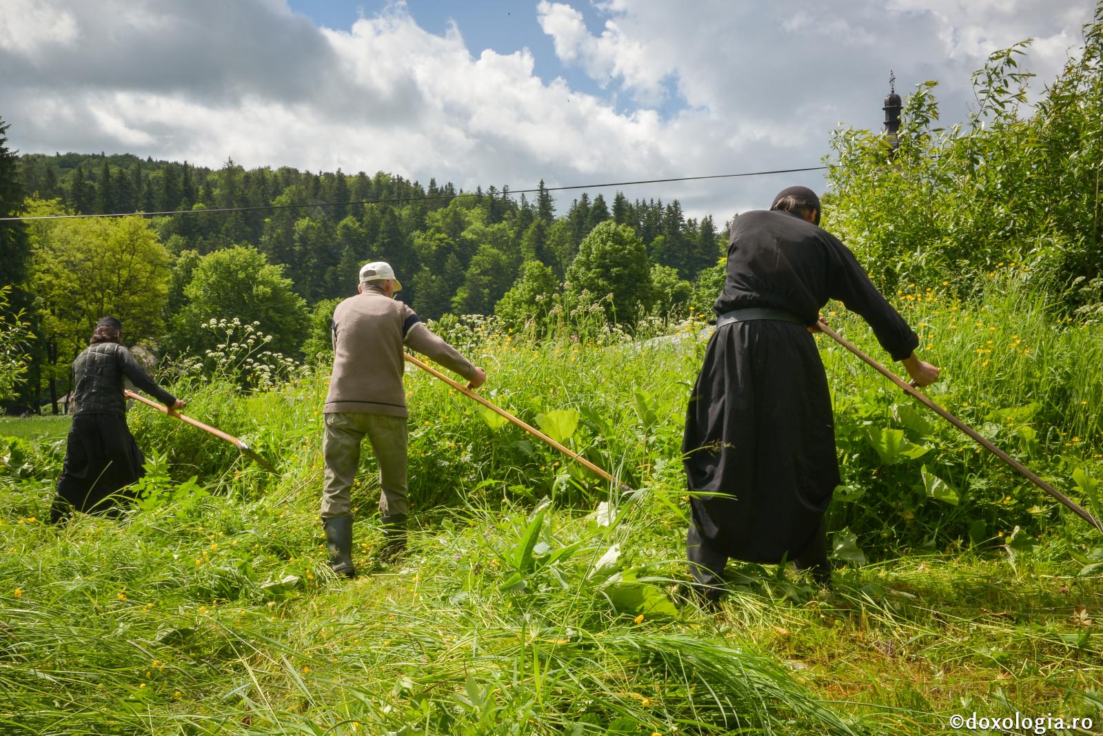 „Când eram obosit, Îl căutam și mai mult pe Dumnezeu” / Foto: Ştefan Cojocariu călugări lucrând