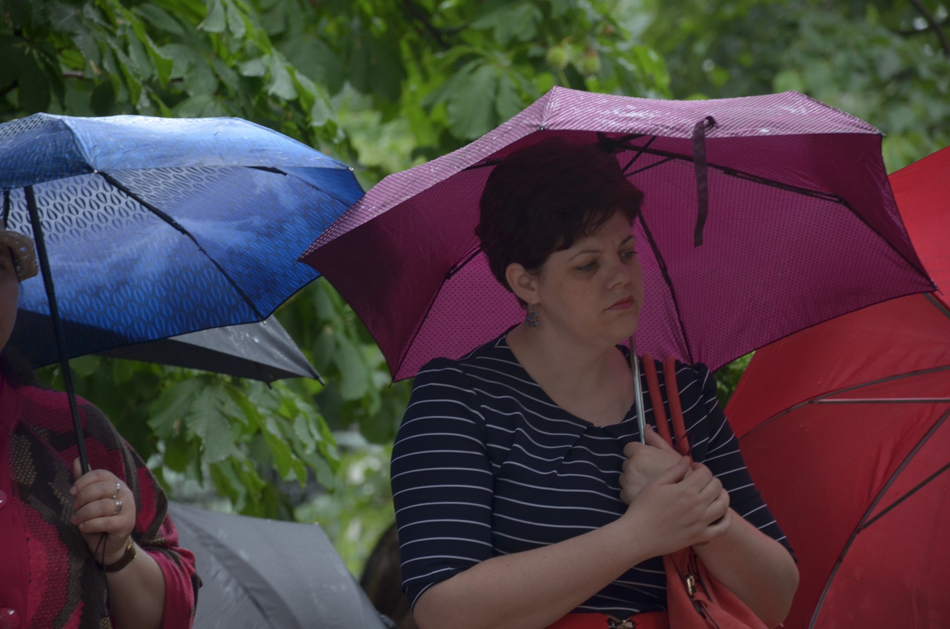 Sfinții Români, sărbătoriți la Mănăstirea Bucium prin Liturghie arhierească