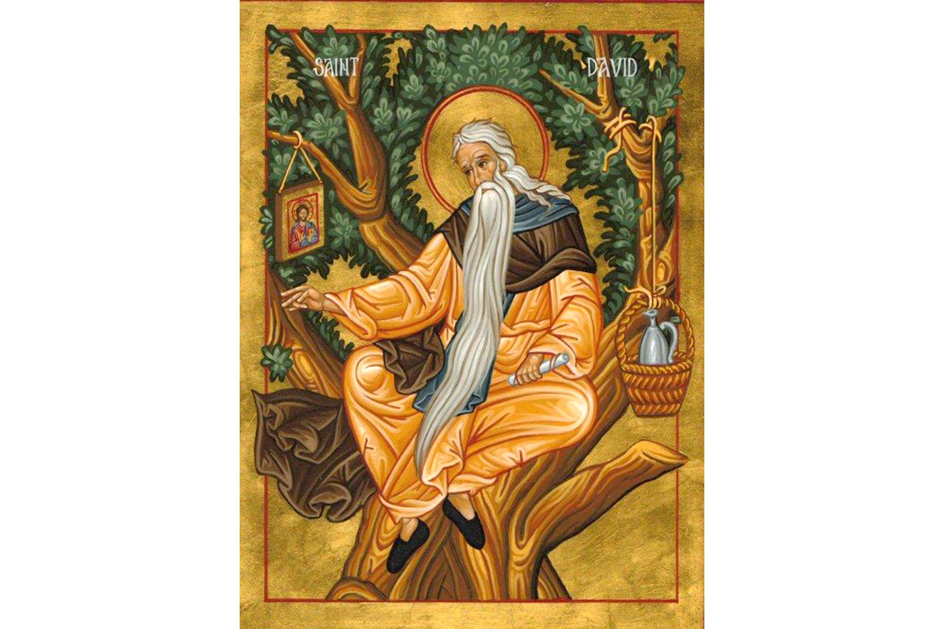 Sfântul Cuvios David din Tesalonic