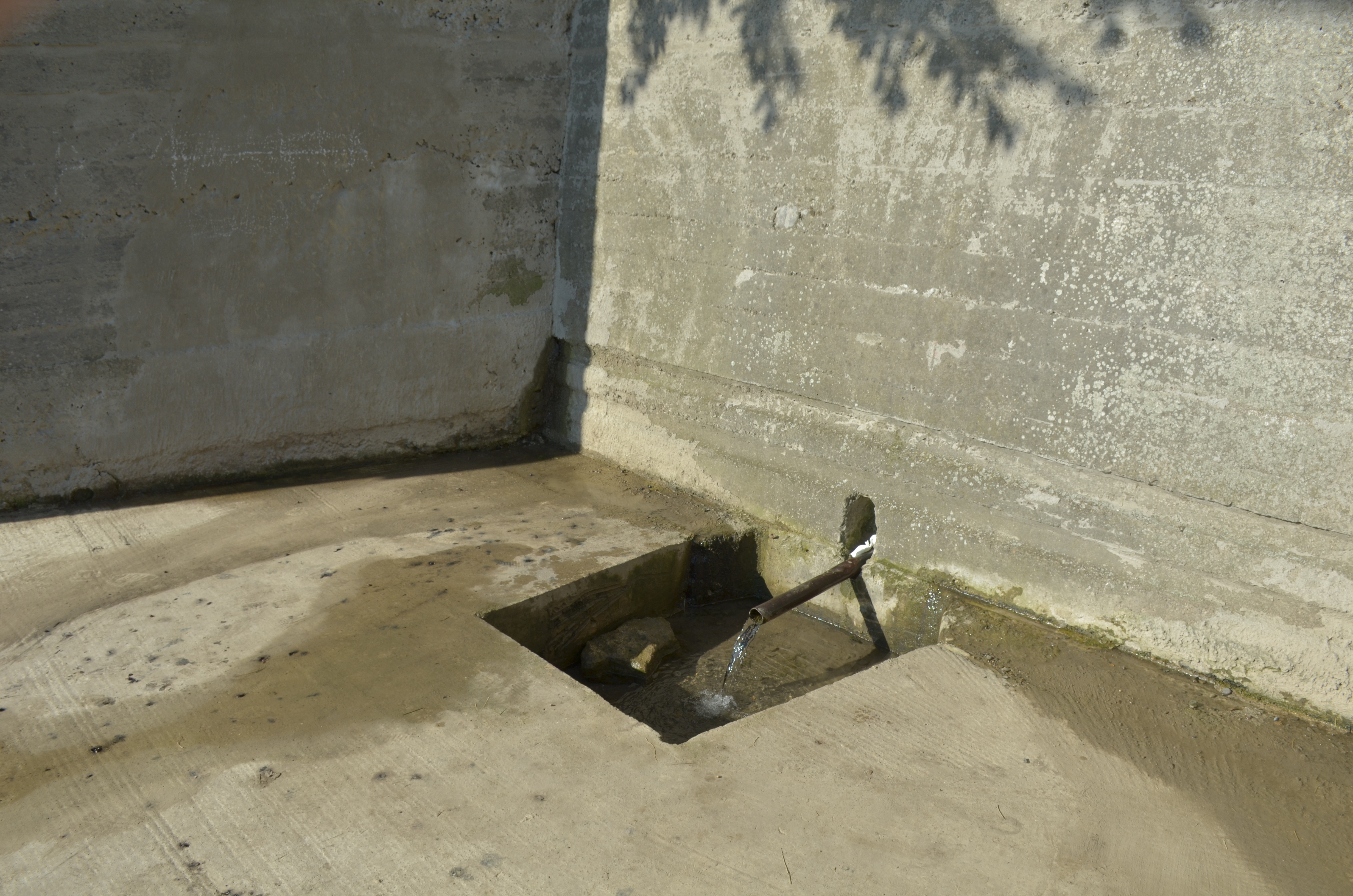 Troiţă ridicată în memoria eroilor la Scobinţi, sfințită de IPS Mitropolit Teofan Troiţă ridicată în memoria eroilor la Scobinţi, sfințită de IPS Mitropolit Teofan