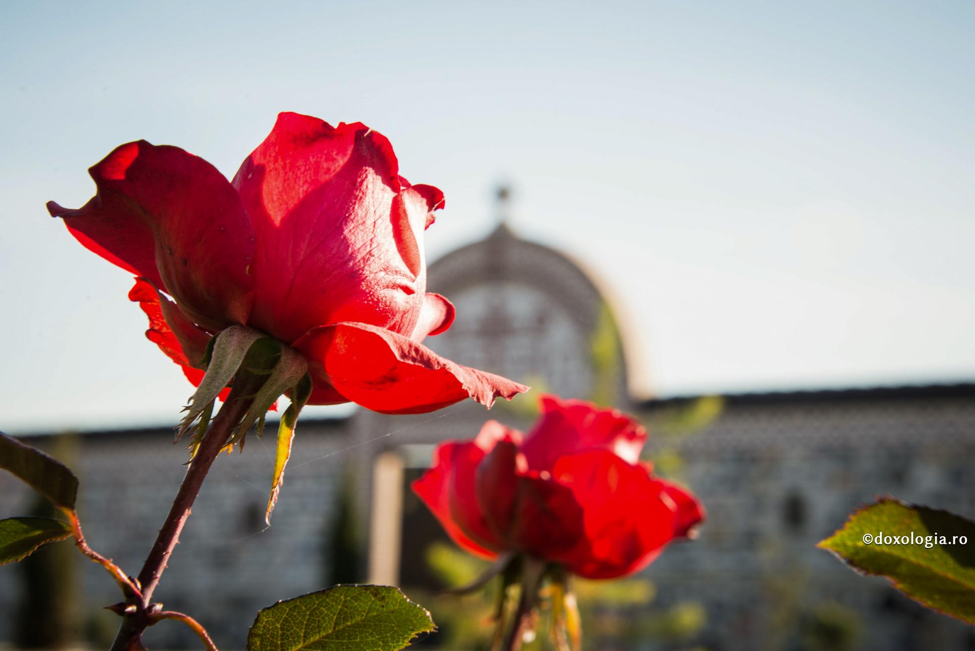 „Pentru a ne dezbrăca de omul nostru cel vechi nu este nevoie de puteri trupești, ci de smerenie”