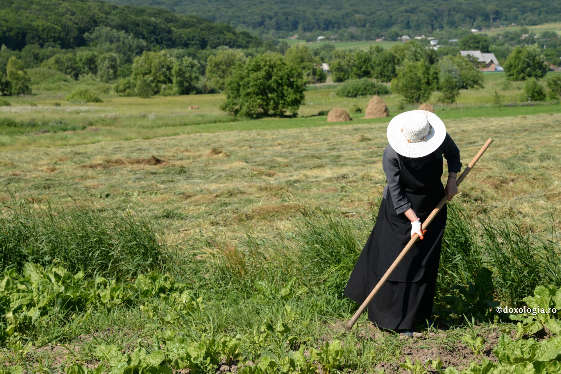 maică lucrând pământul
