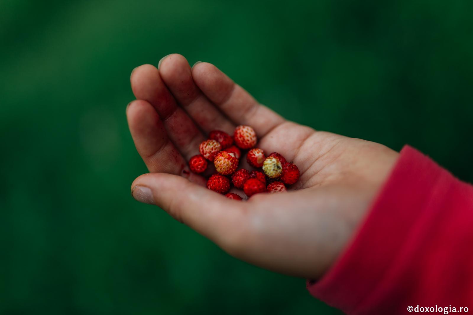 fragi în mână