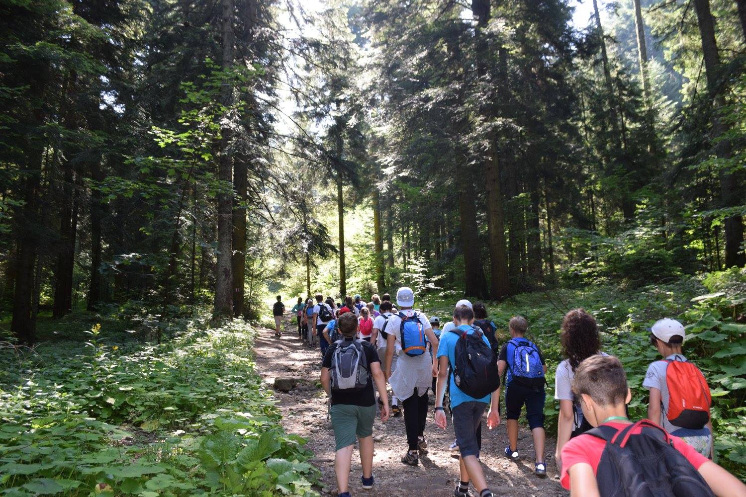 Importanța taberelor creștin-ortodoxe pentru misiunea Bisericii în rândul tinerei generații