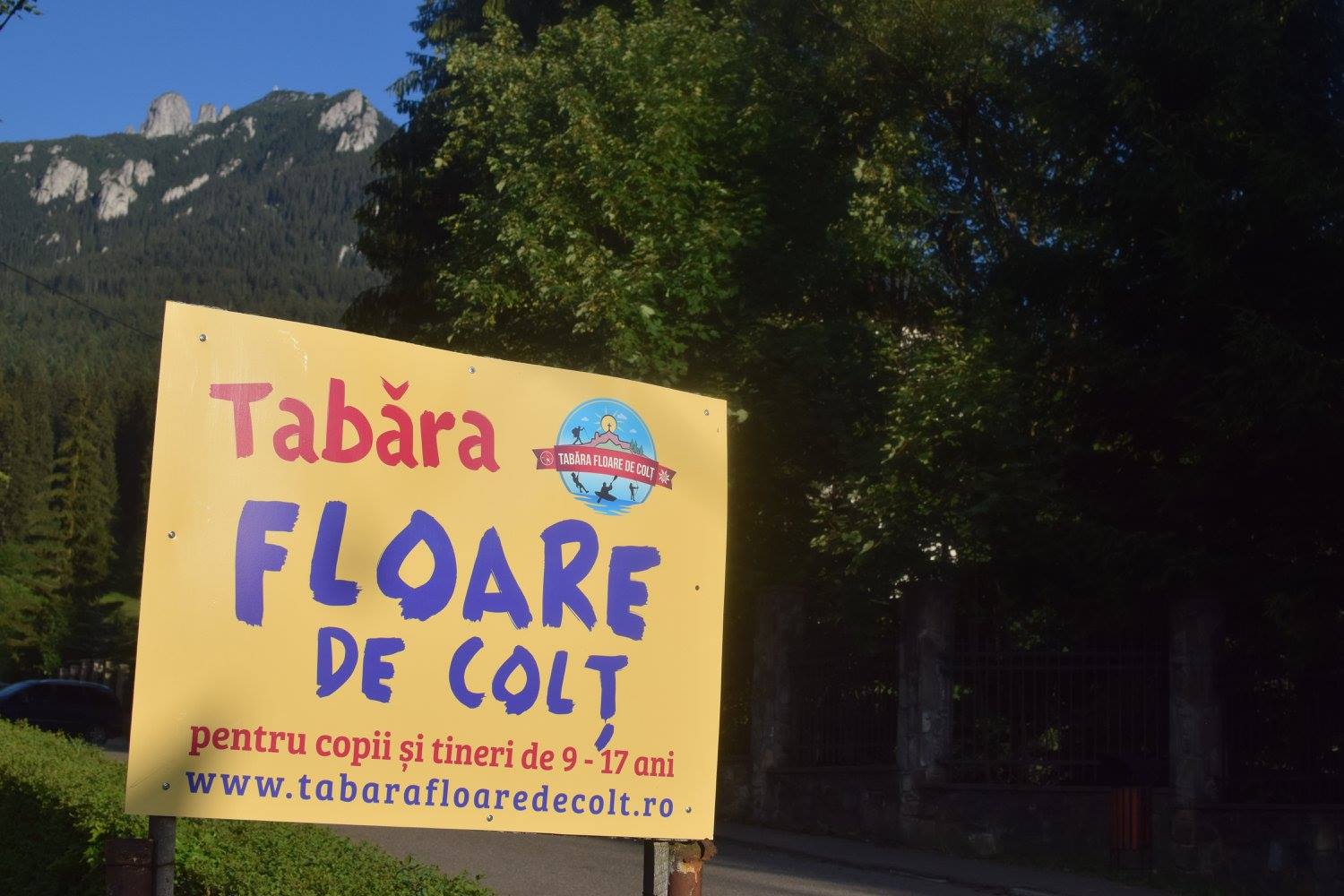 Importanța taberelor creștin-ortodoxe pentru misiunea Bisericii în rândul tinerei generații