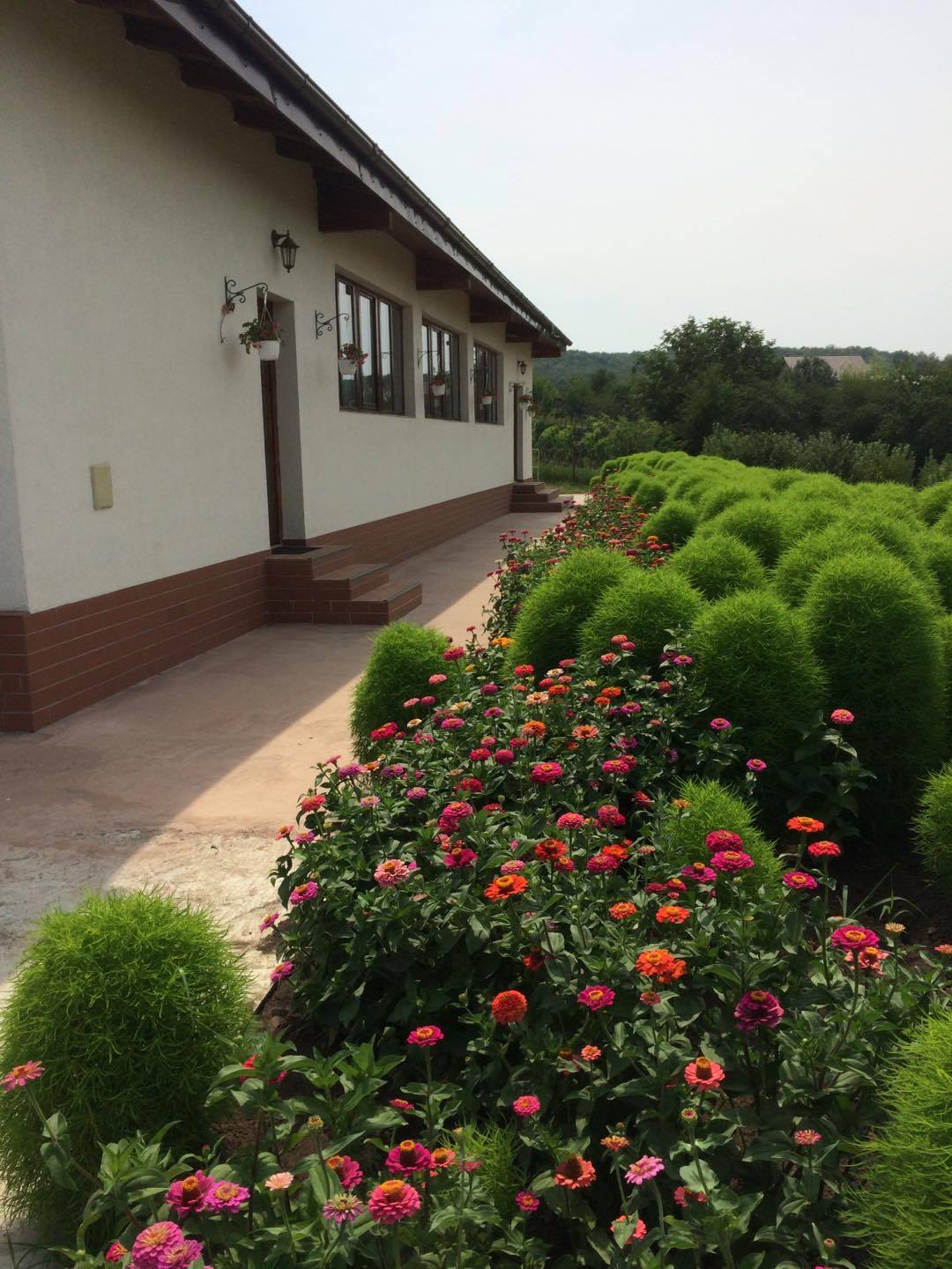 Cinstirea Sfintei Icoane „Prodromiţa” în Parohia Breazu