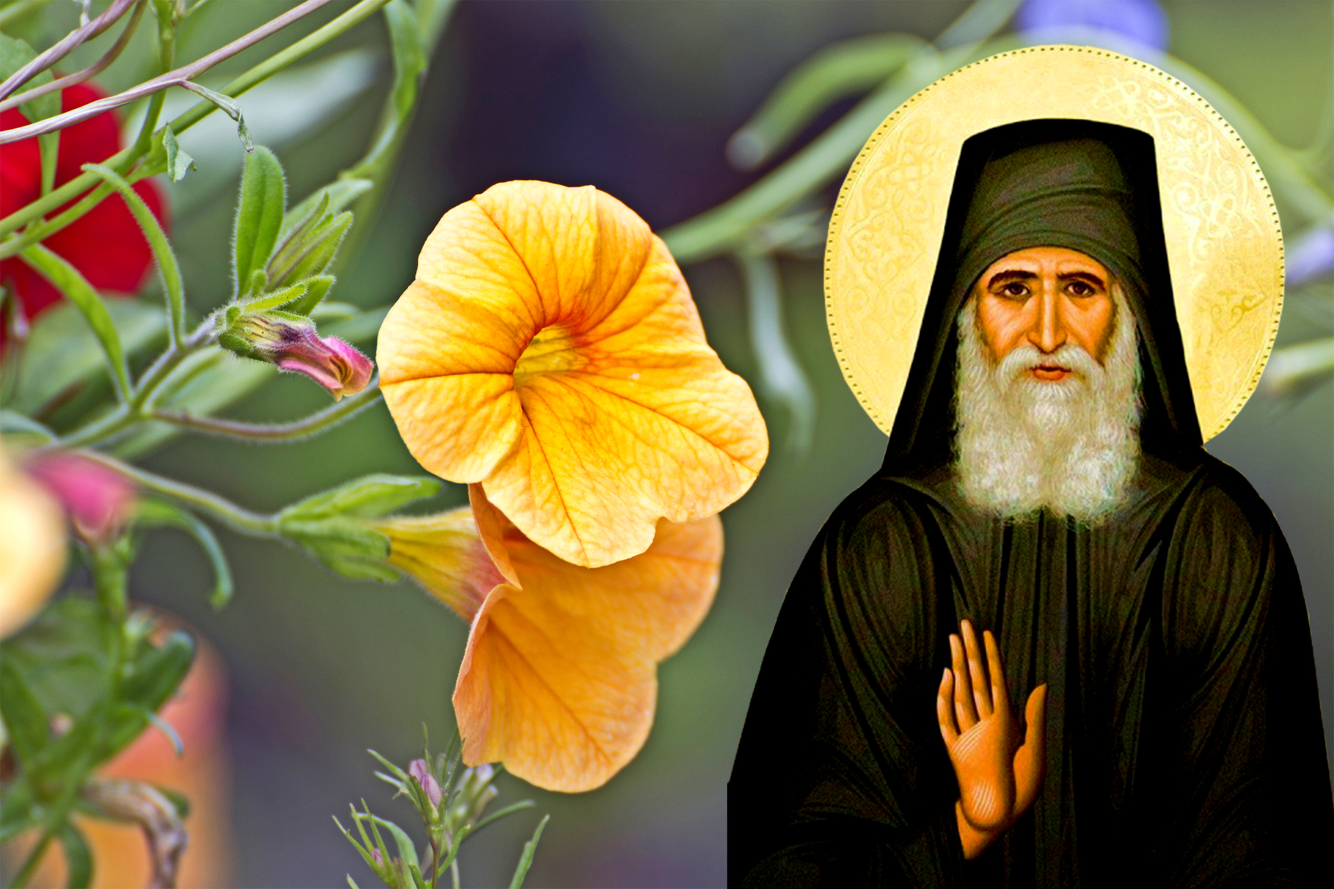 (Video) Rugăciunea pentru lume a Cuviosului Paisie Aghioritul