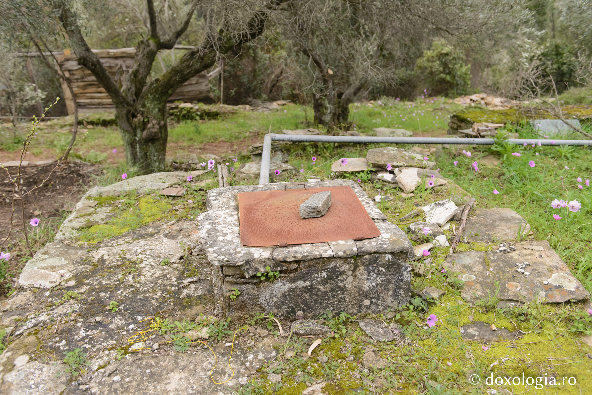 Coliba „Cinstita Cruce” – Kapsala, Athos