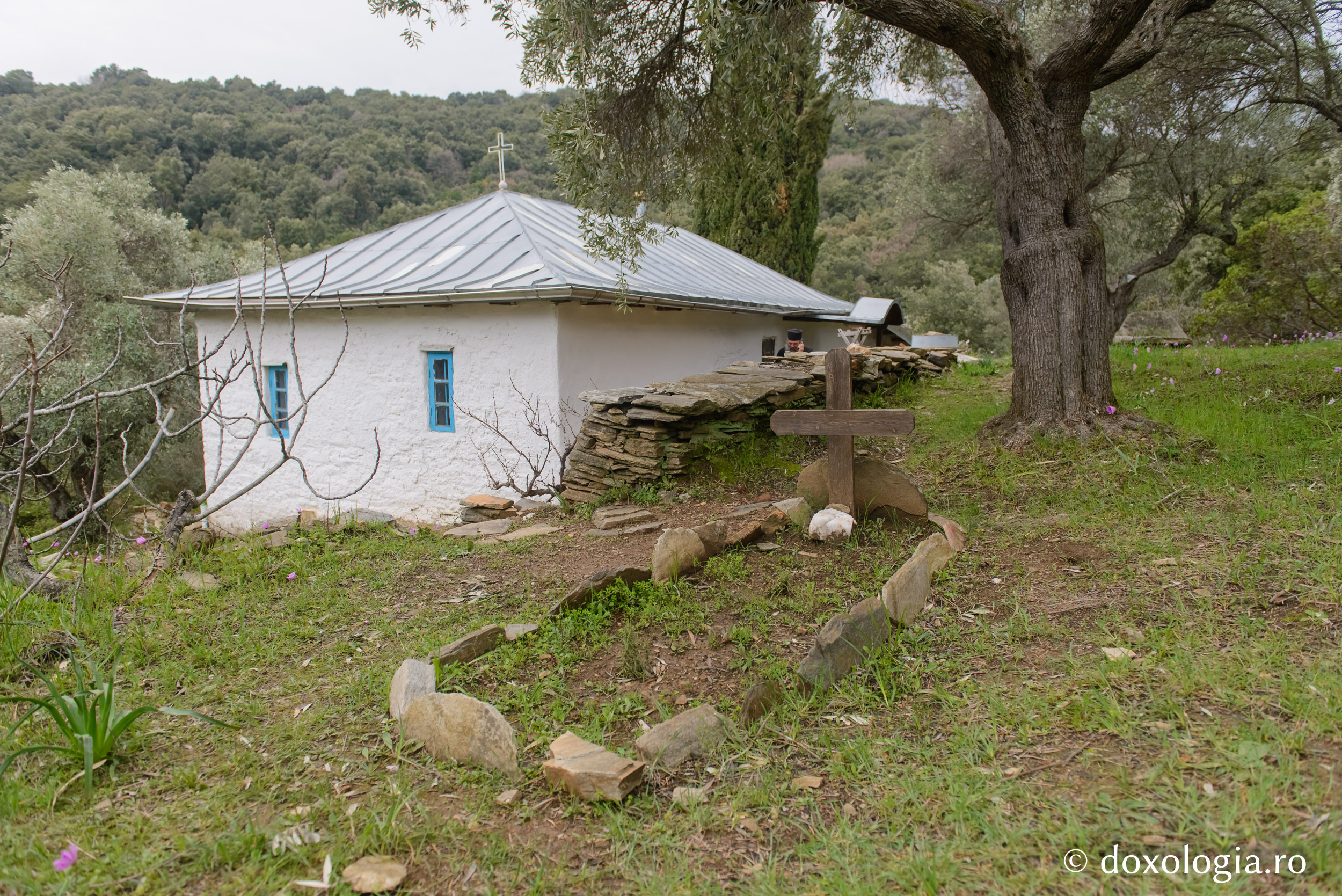 Cum se nevoia Sfântul Paisie Aghioritul la Coliba Cinstitei Cruci