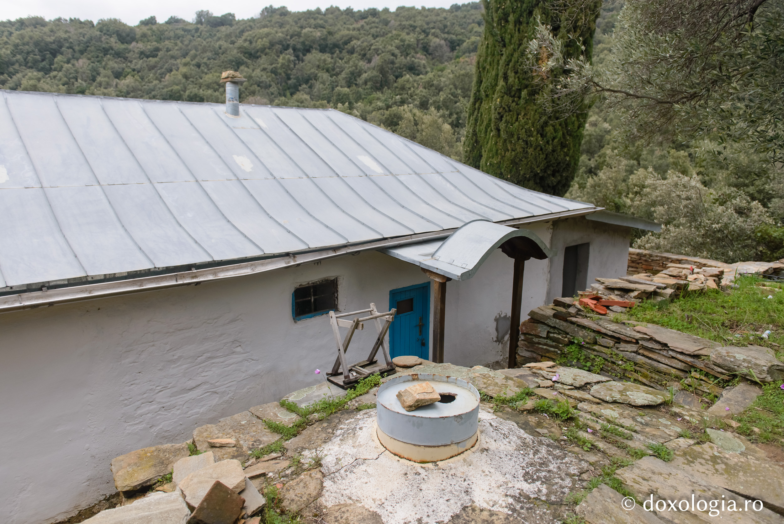 Cum se nevoia Sfântul Paisie Aghioritul la Coliba Cinstitei Cruci