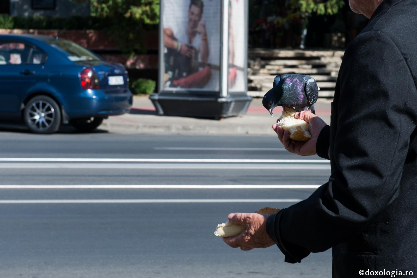 În Împărăția Cerurilor ne însoțesc numai faptele bune