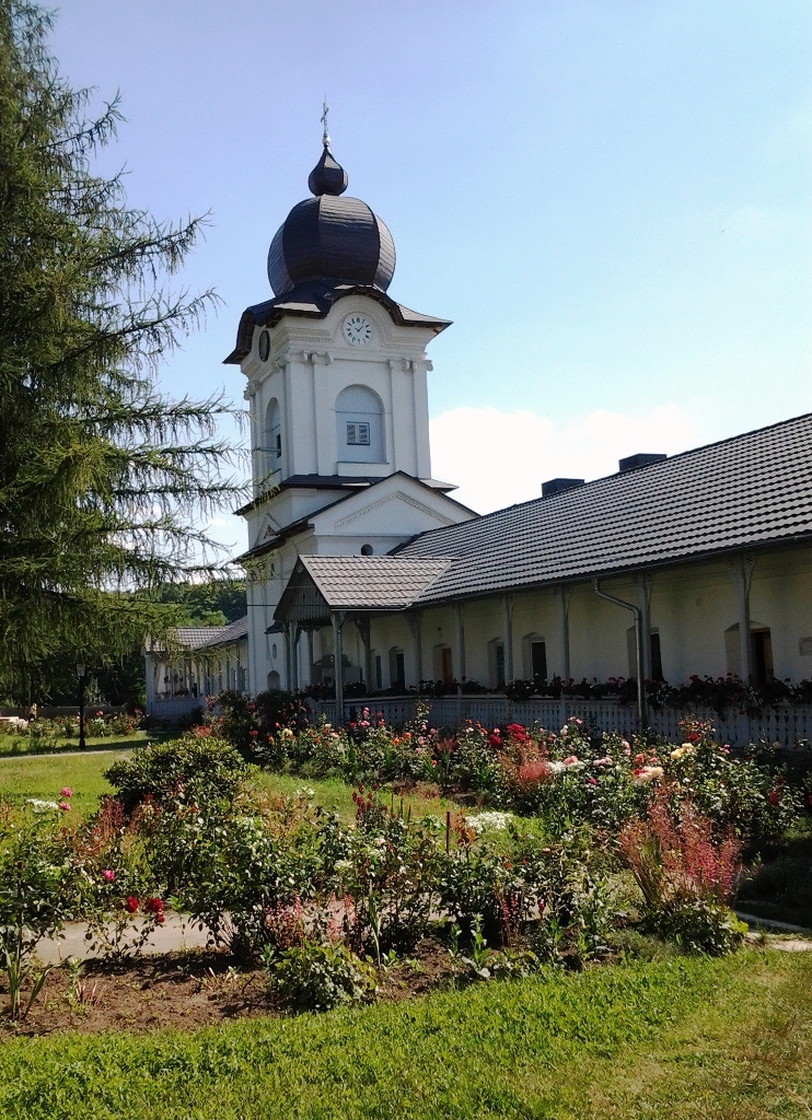 Tabără gratuită pentru elevii Seminarului din Dorohoi