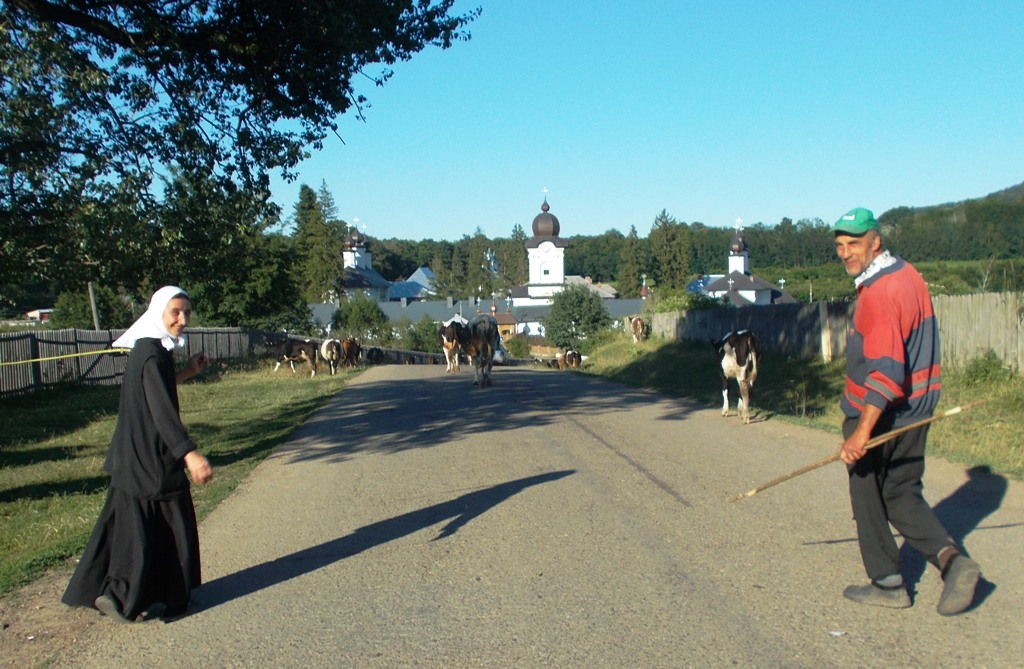 Tabără gratuită pentru elevii Seminarului din Dorohoi