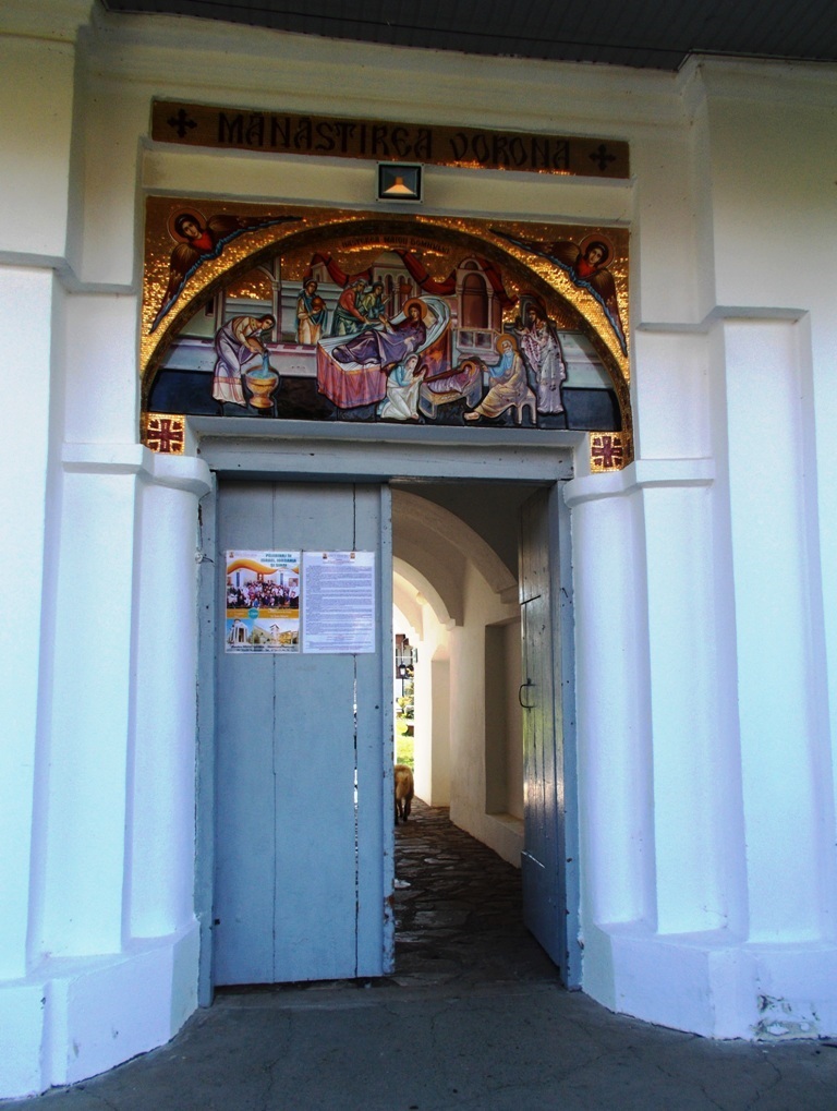 Tabără gratuită pentru elevii Seminarului din Dorohoi