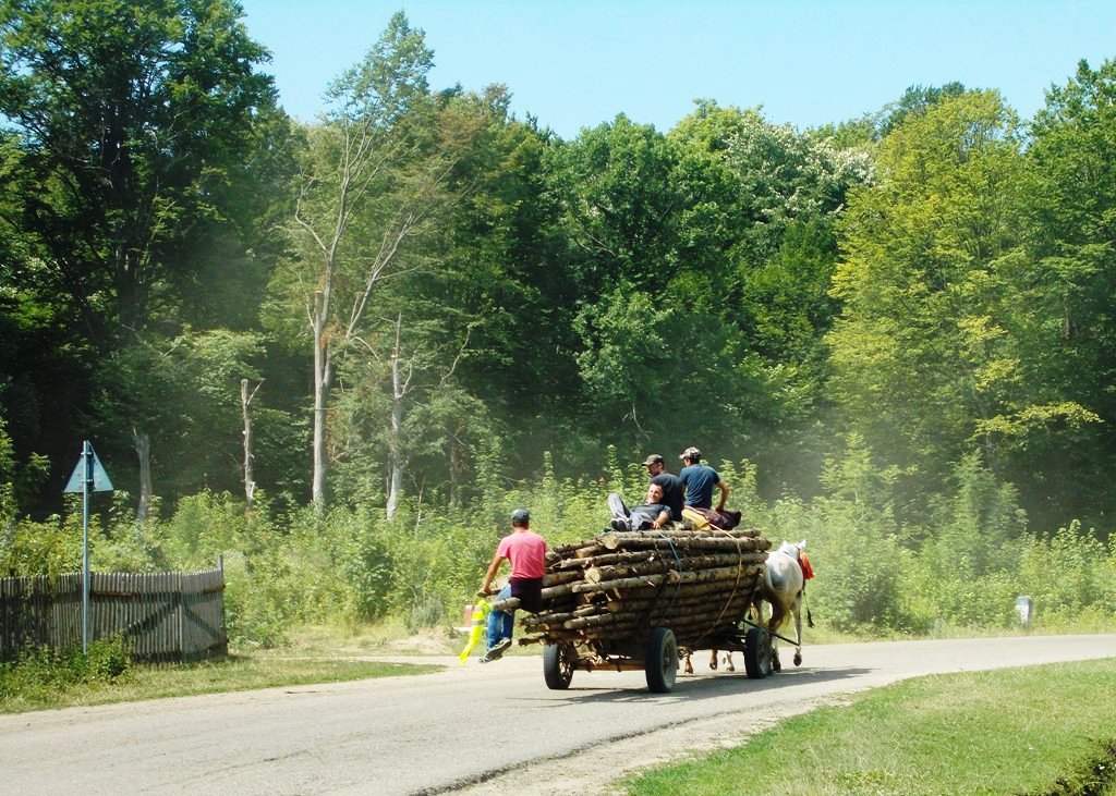 Tabără gratuită pentru elevii Seminarului din Dorohoi