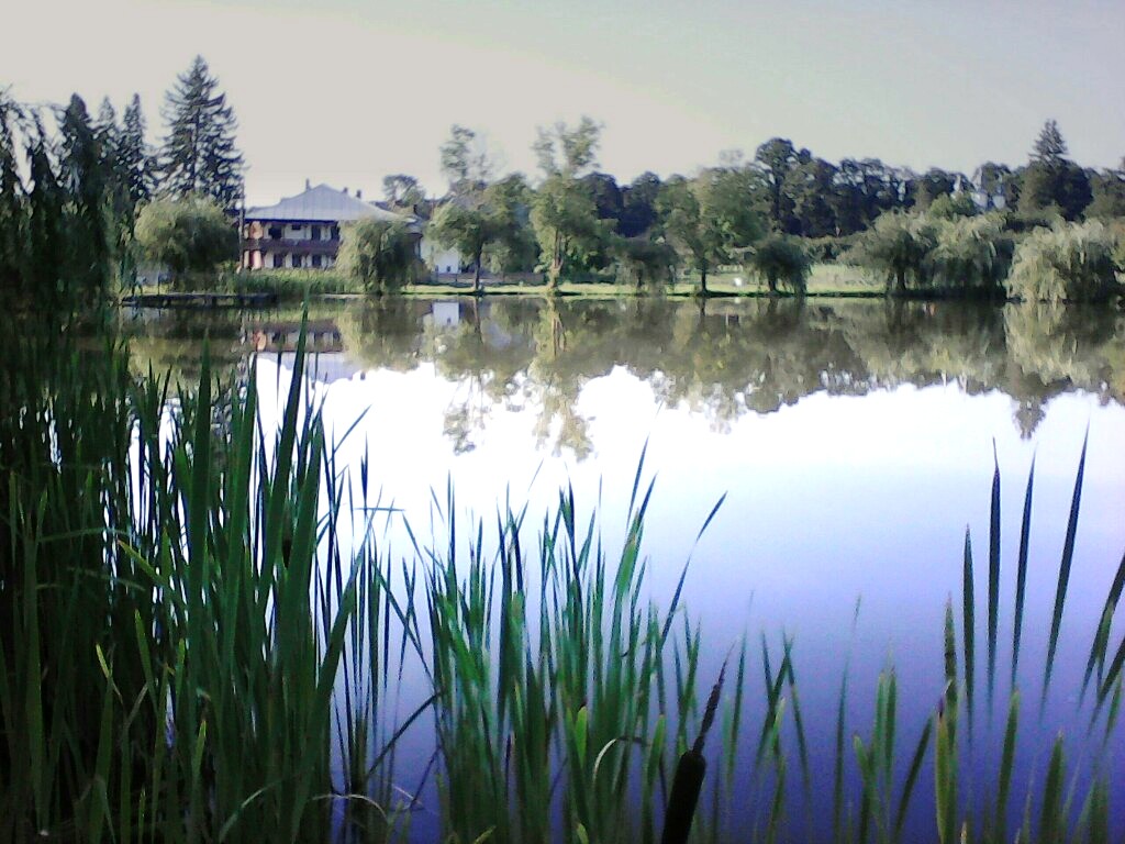 Tabără gratuită pentru elevii Seminarului din Dorohoi