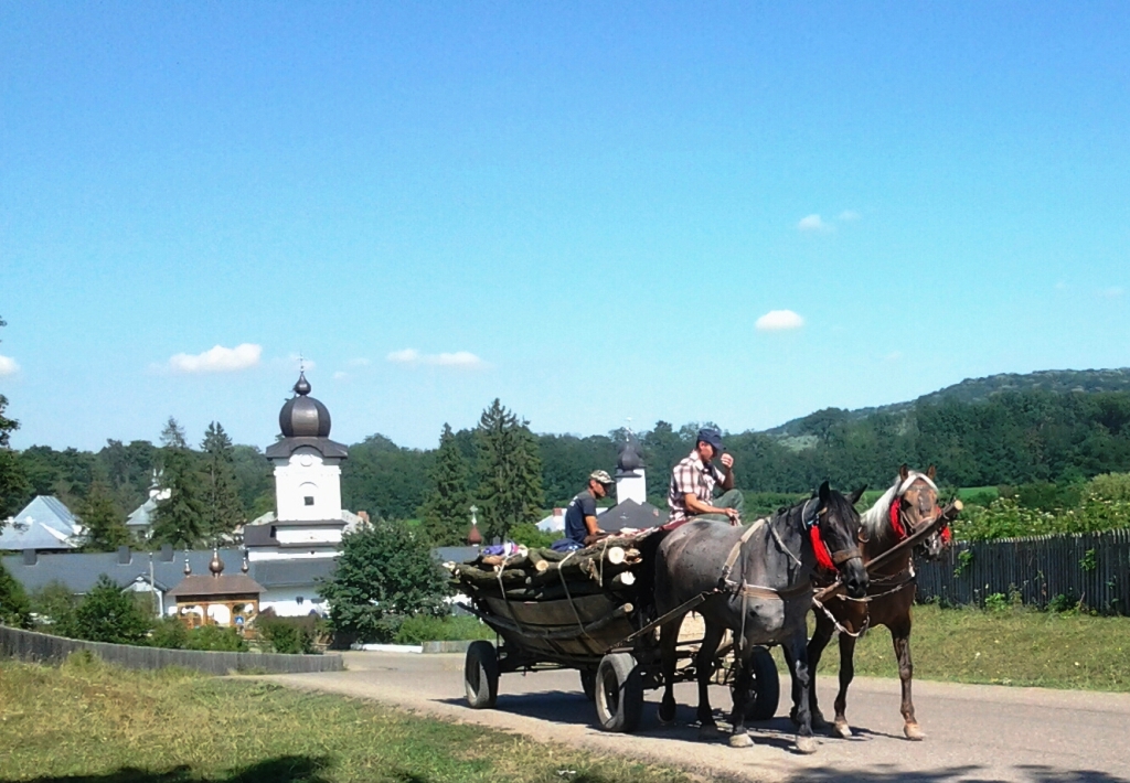 Tabără gratuită pentru elevii Seminarului din Dorohoi