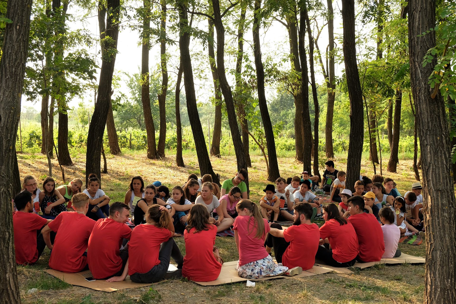 S-a dat startul proiectului „Tineri către TINEri - Tabăra din pridvorul satului“