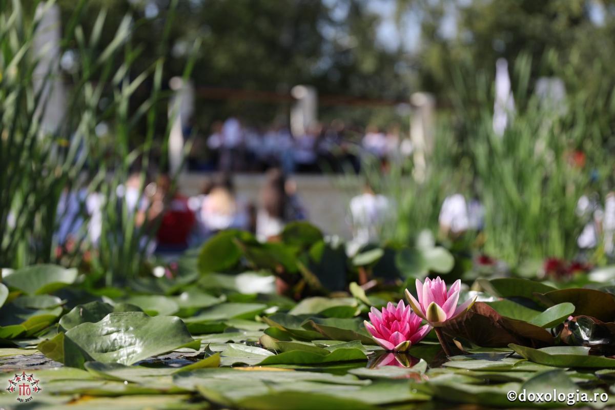 Marșul Tinereții la ITO 2017