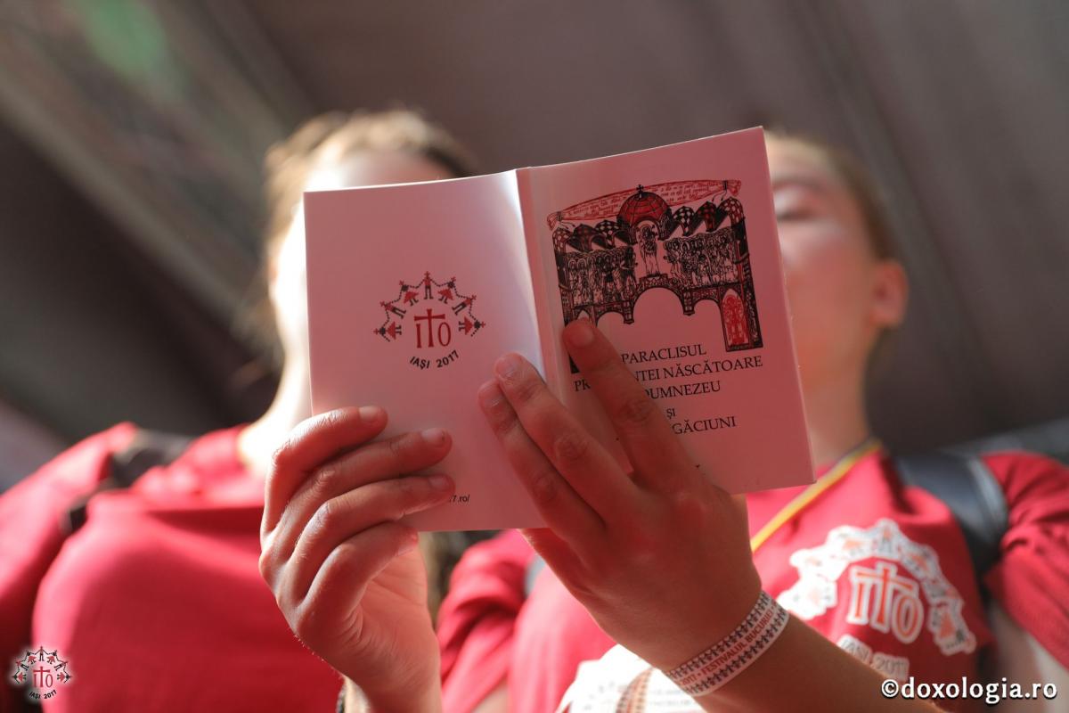 Marșul Tinereții la ITO 2017