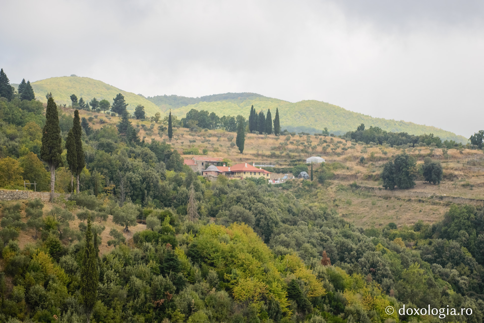 Chilia Paterița din Muntele Athos