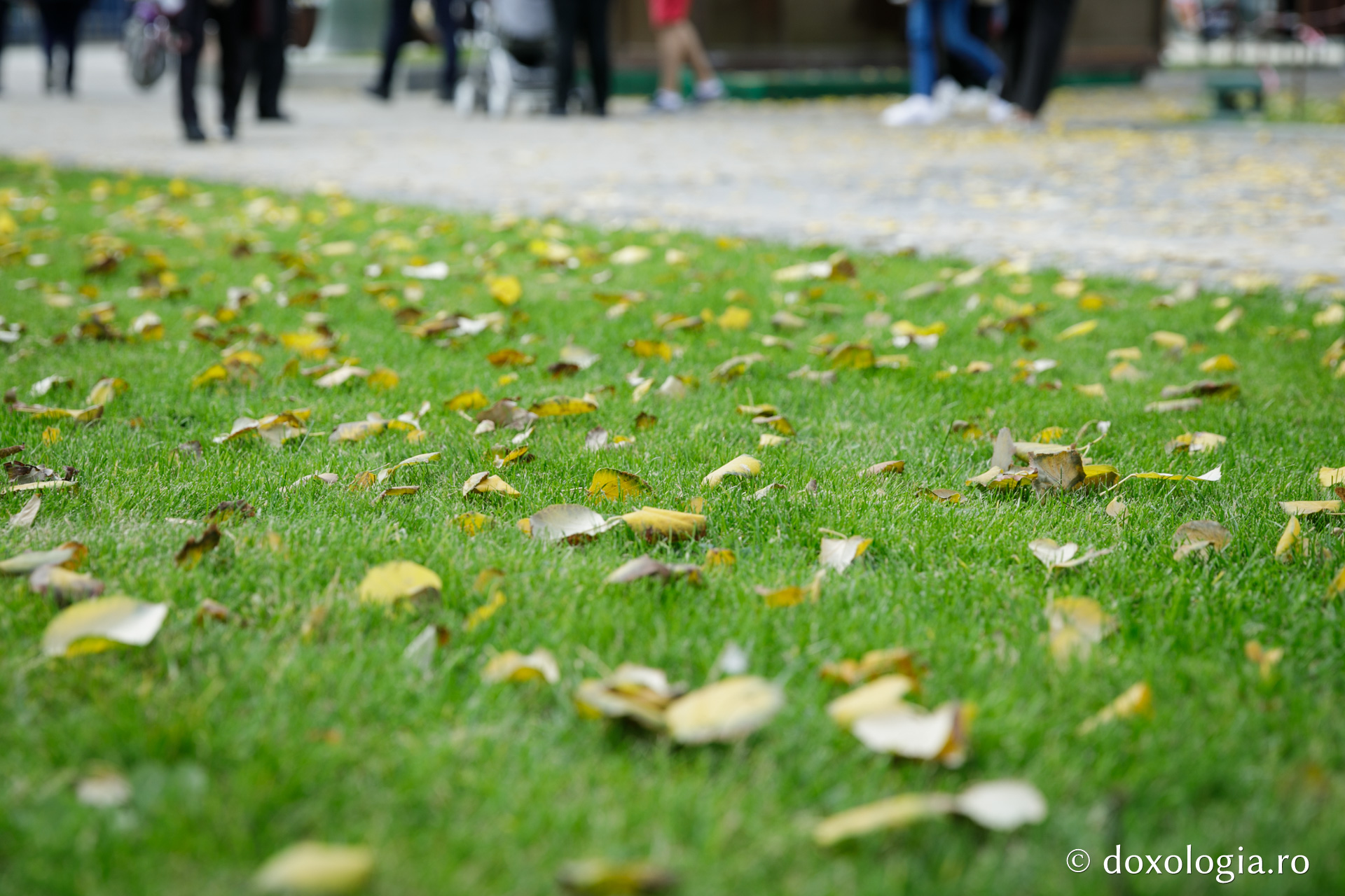 Culorile toamnei la Catedrala Mitropolitană (galerie FOTO)