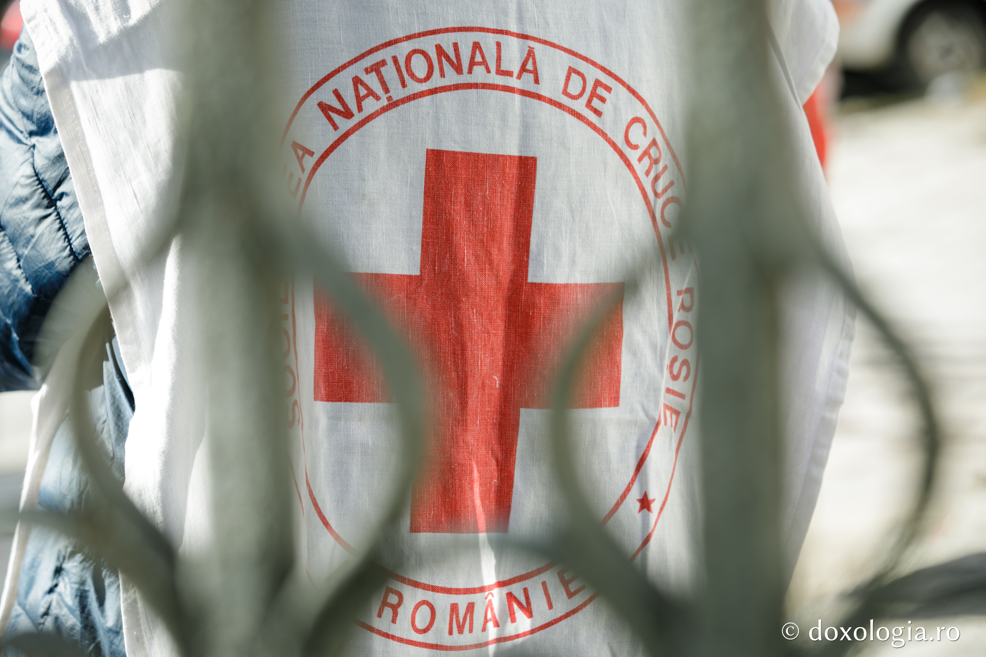 Alături de pelerinii Sfintei Parascheva (galerie FOTO)