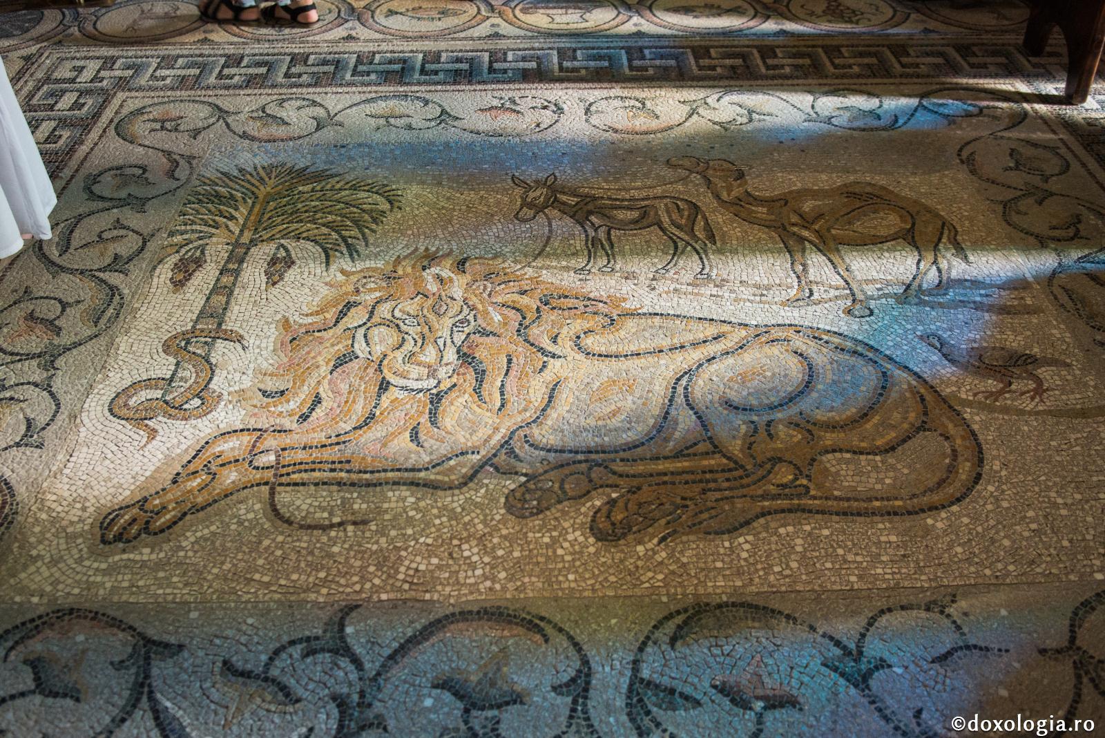 (Audio) Sfânta Tecla este judecată și încredințată Trifenei