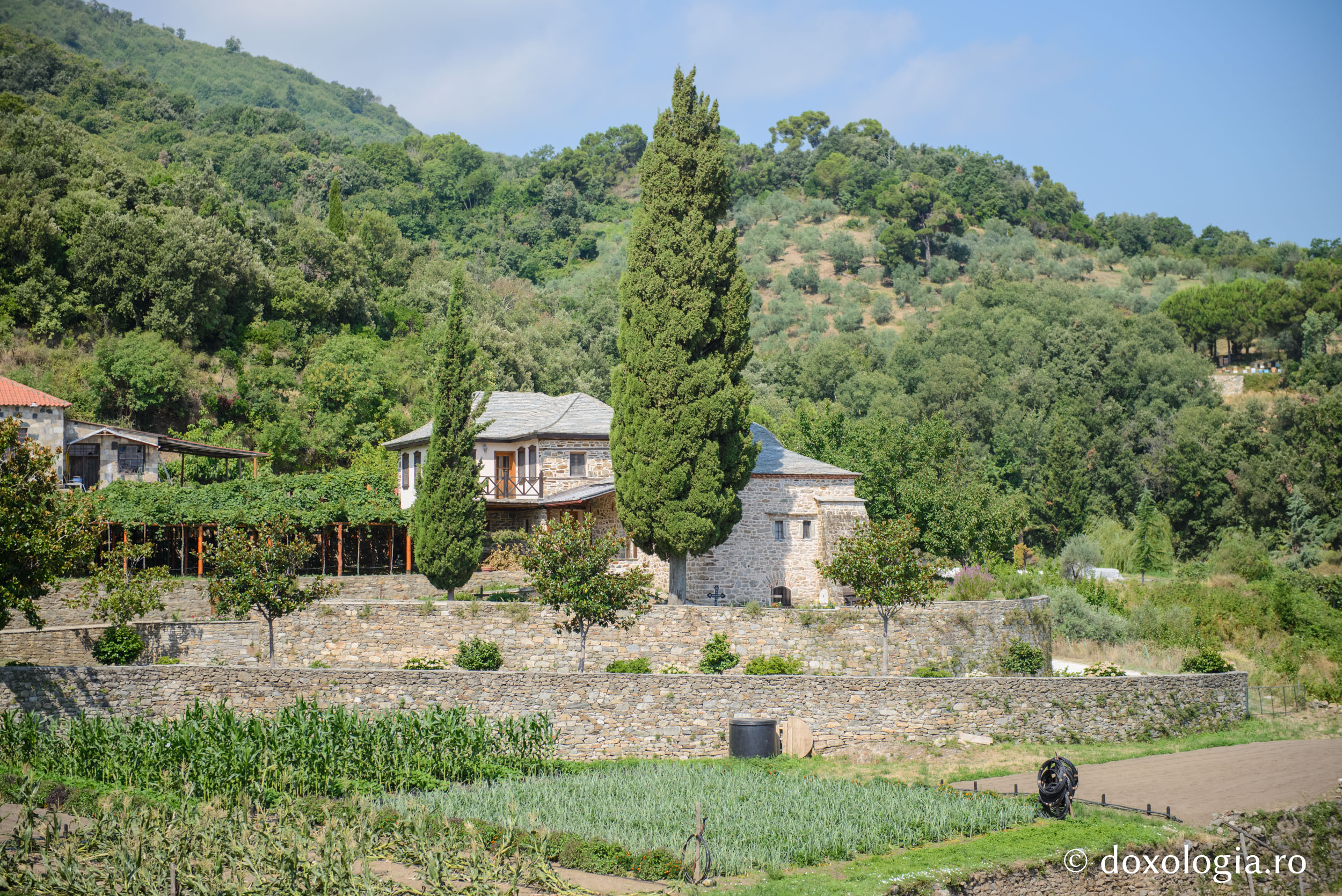 (Foto) Clipe de zăbavă în cimitirul Mănăstirii Caracalu