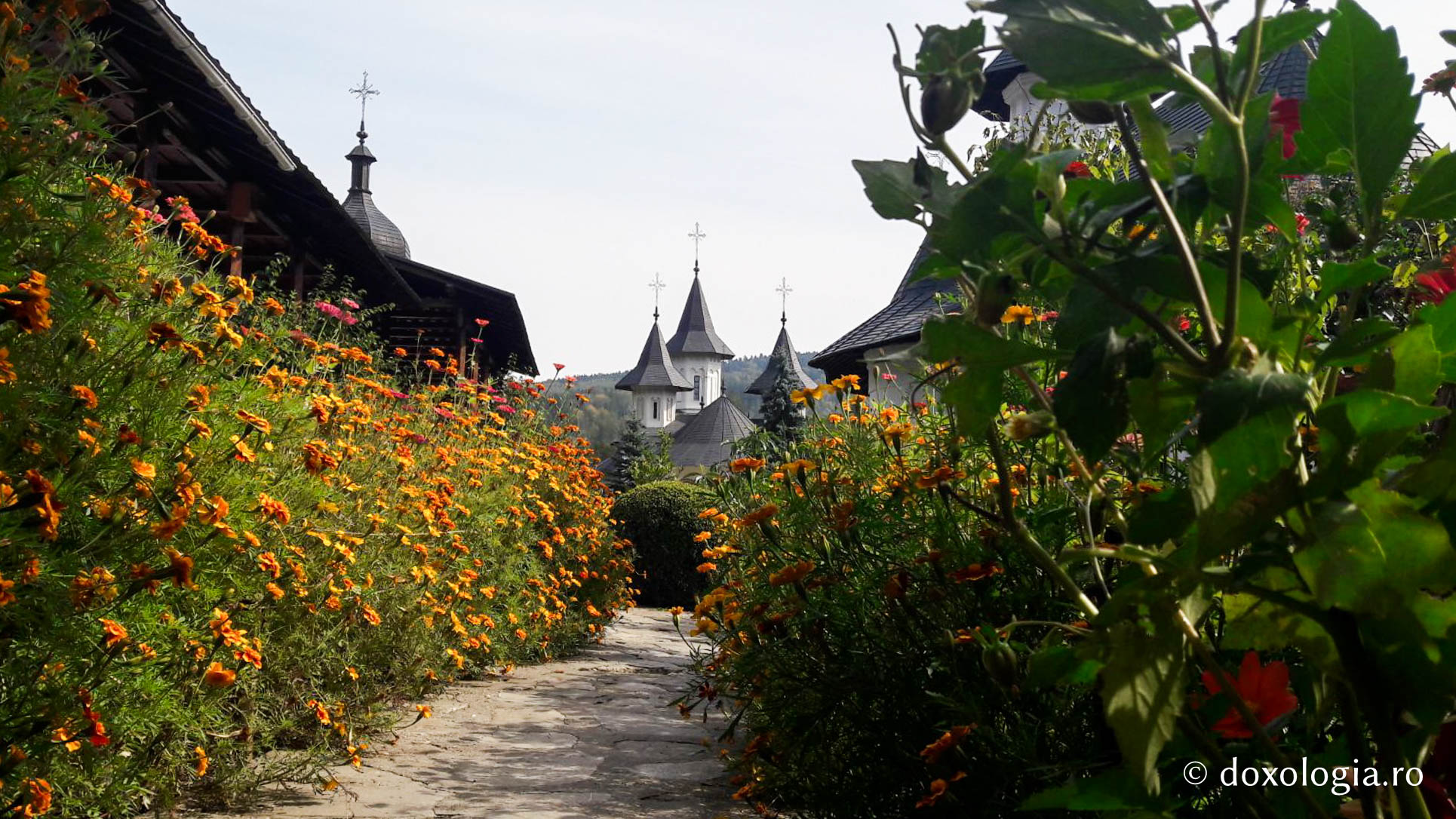 (Foto) Toamna la Mănăstirea Sihăstria