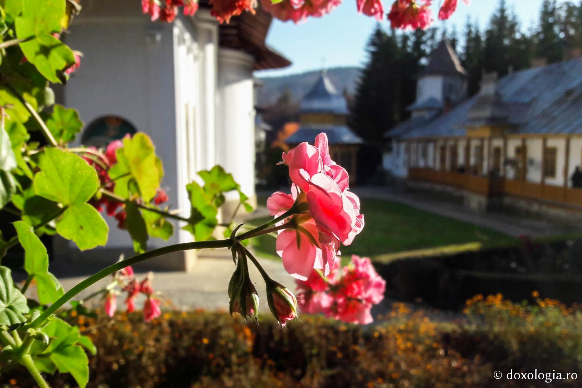 (Foto) Culorile toamnei la Mănăstirea Sihăstria