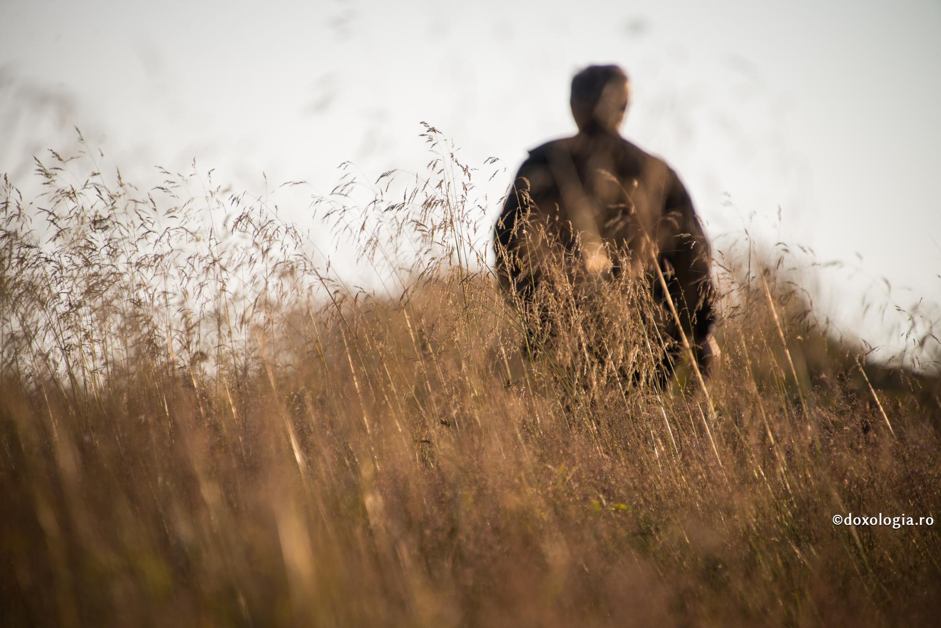 Dumnezeu Se odihnește în gândurile bune și în inima omului