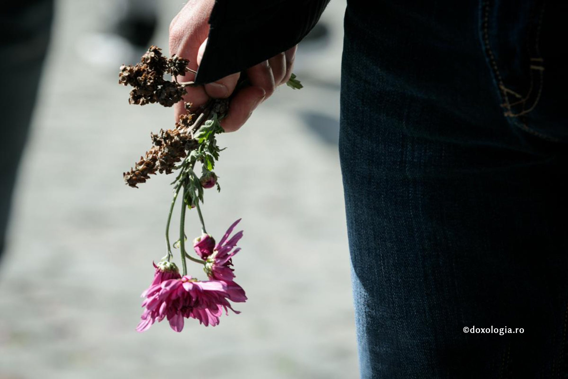 Busuioc, mir și morți vii care se-nchină