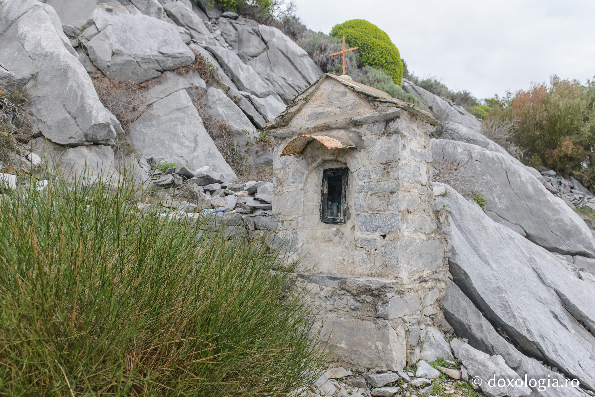 Proschinitar de la Kavsokalivia