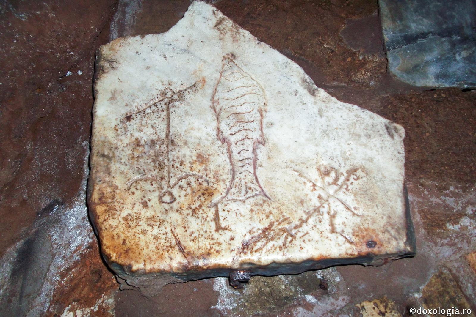 În fiecare post, mâncăm lumină din lumina adunată în produsele vegetale şi în peşte