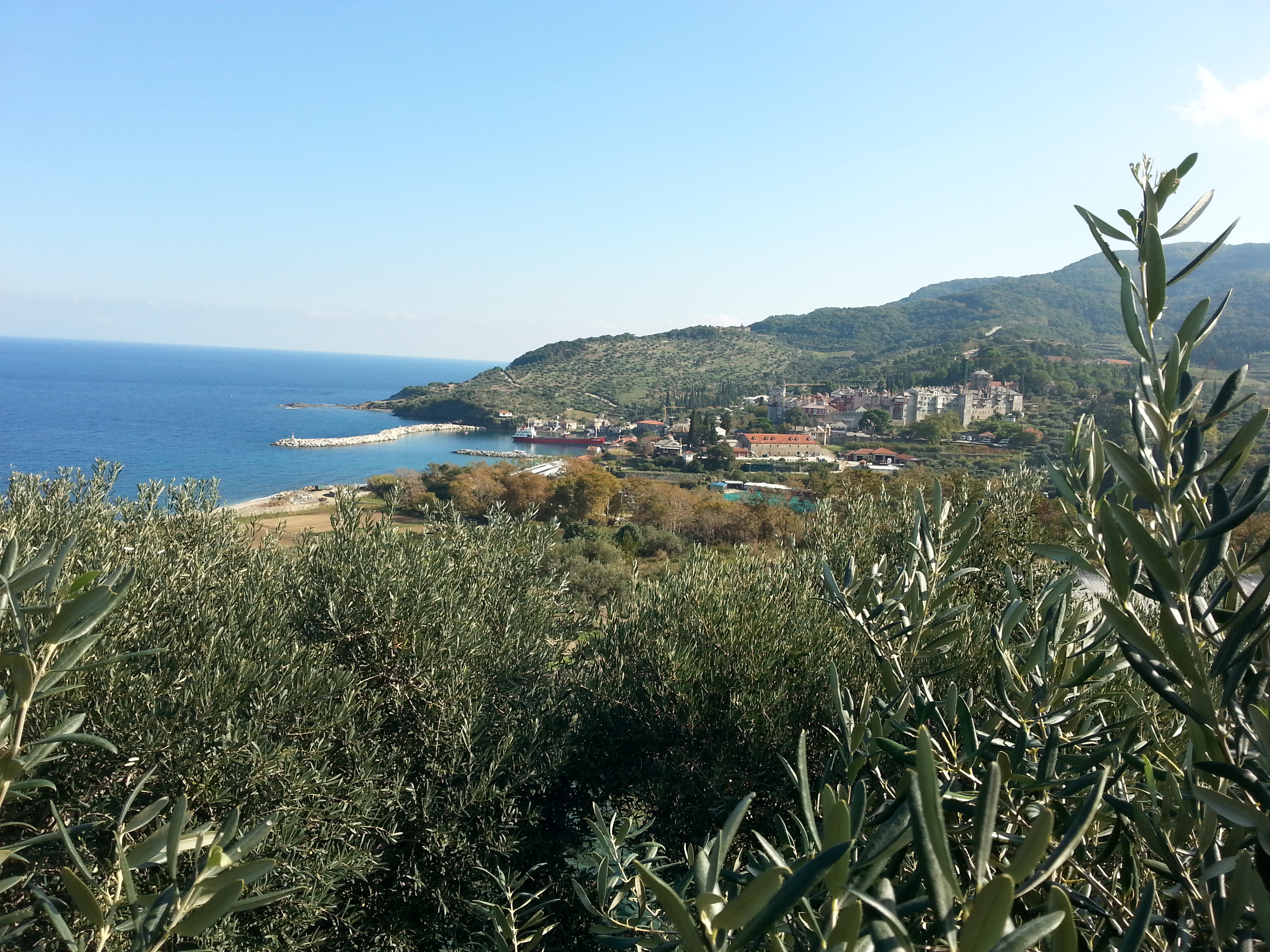 Tinerii din ATOR şi ASCOR Iaşi la Sfântul Munte