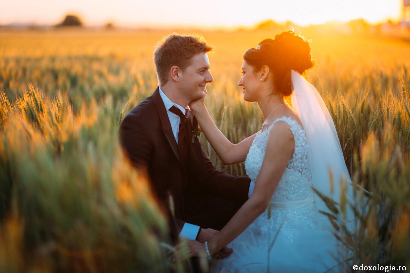 miri în lanul de grâu