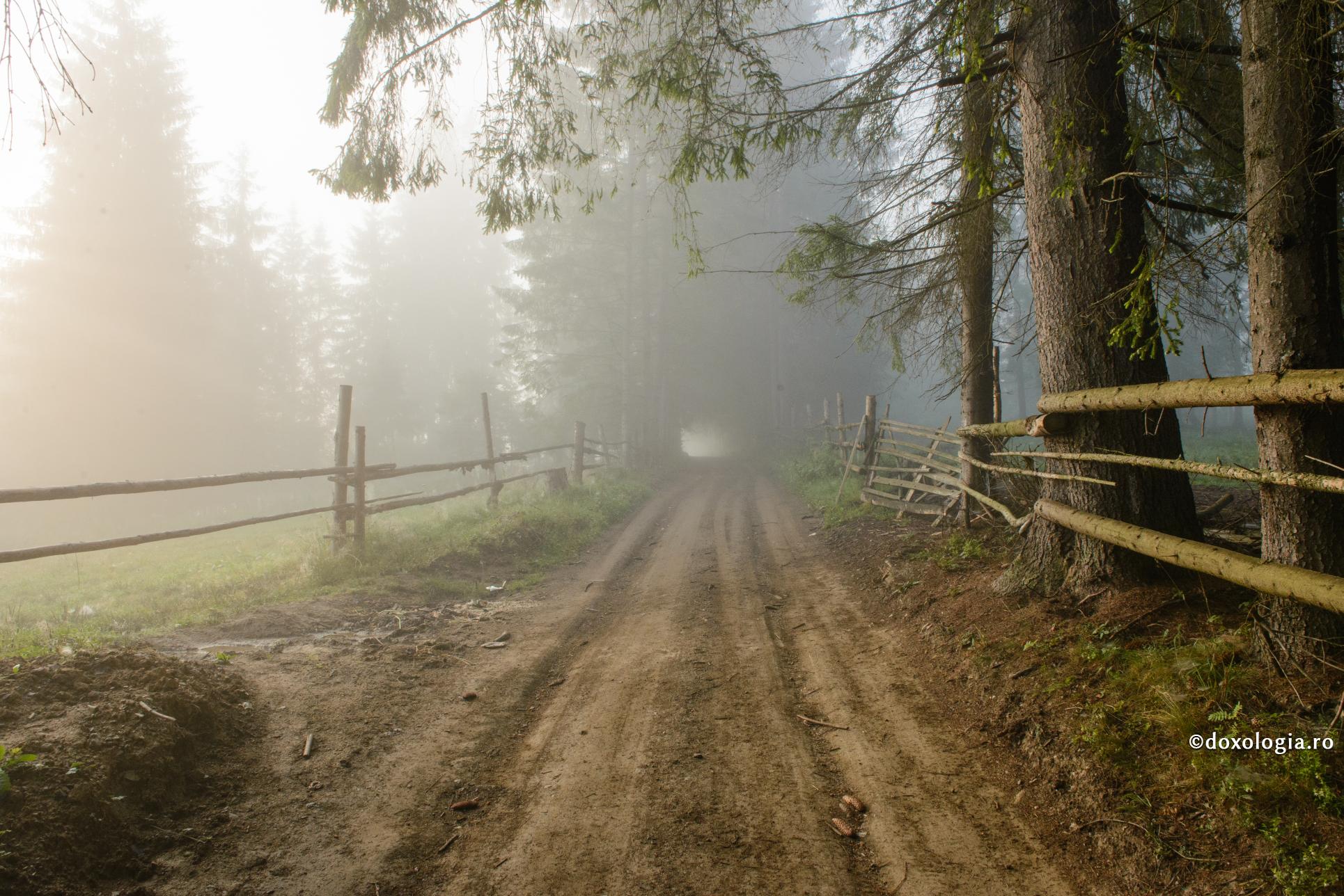 Remediu pentru frica de necunoscut