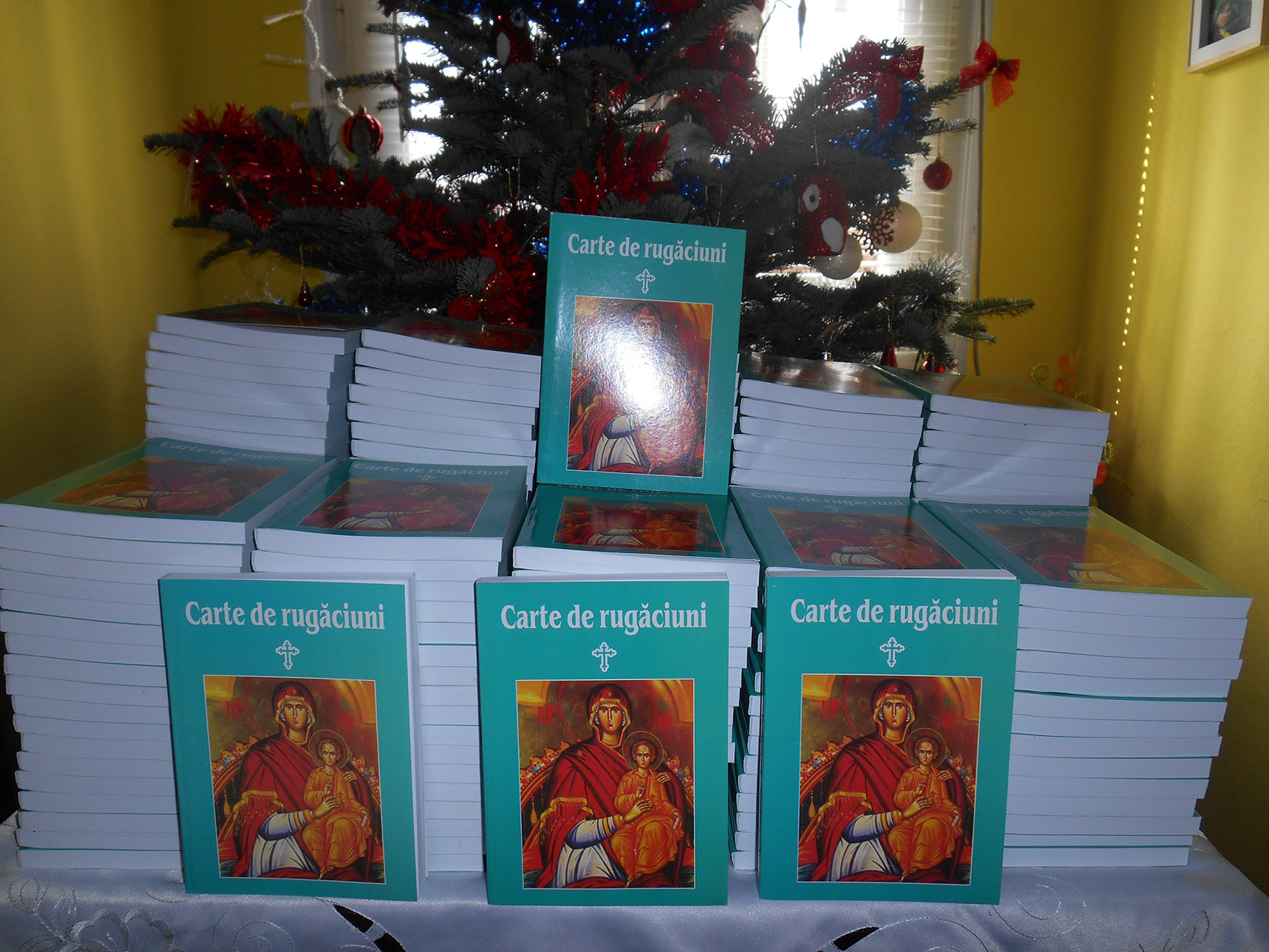 Proiect misionar-pastoral „Lumini de sărbători“