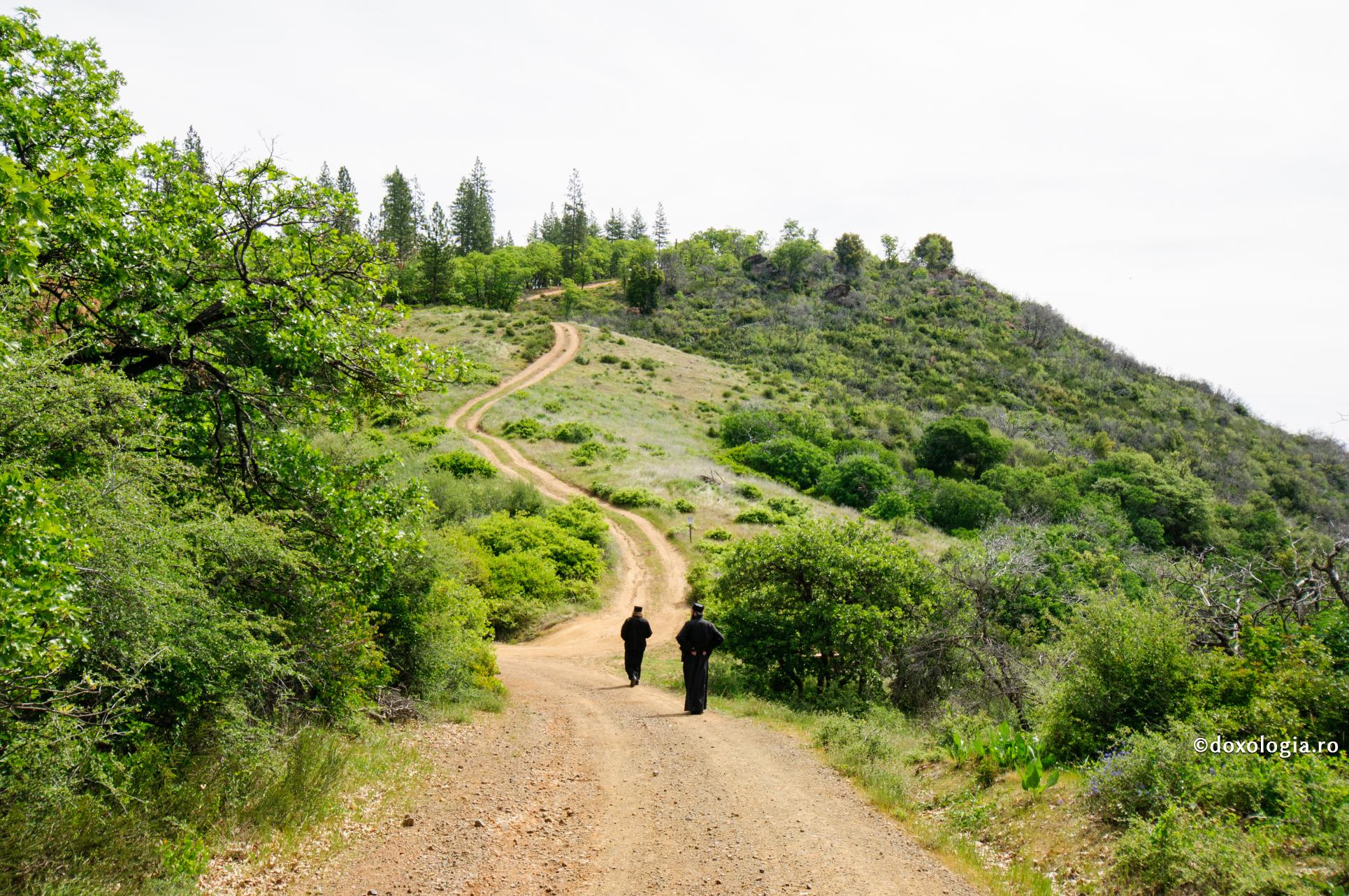 Oricât ar vrea Dumnezeu să ne mântuiască, trebuie să vrem și noi