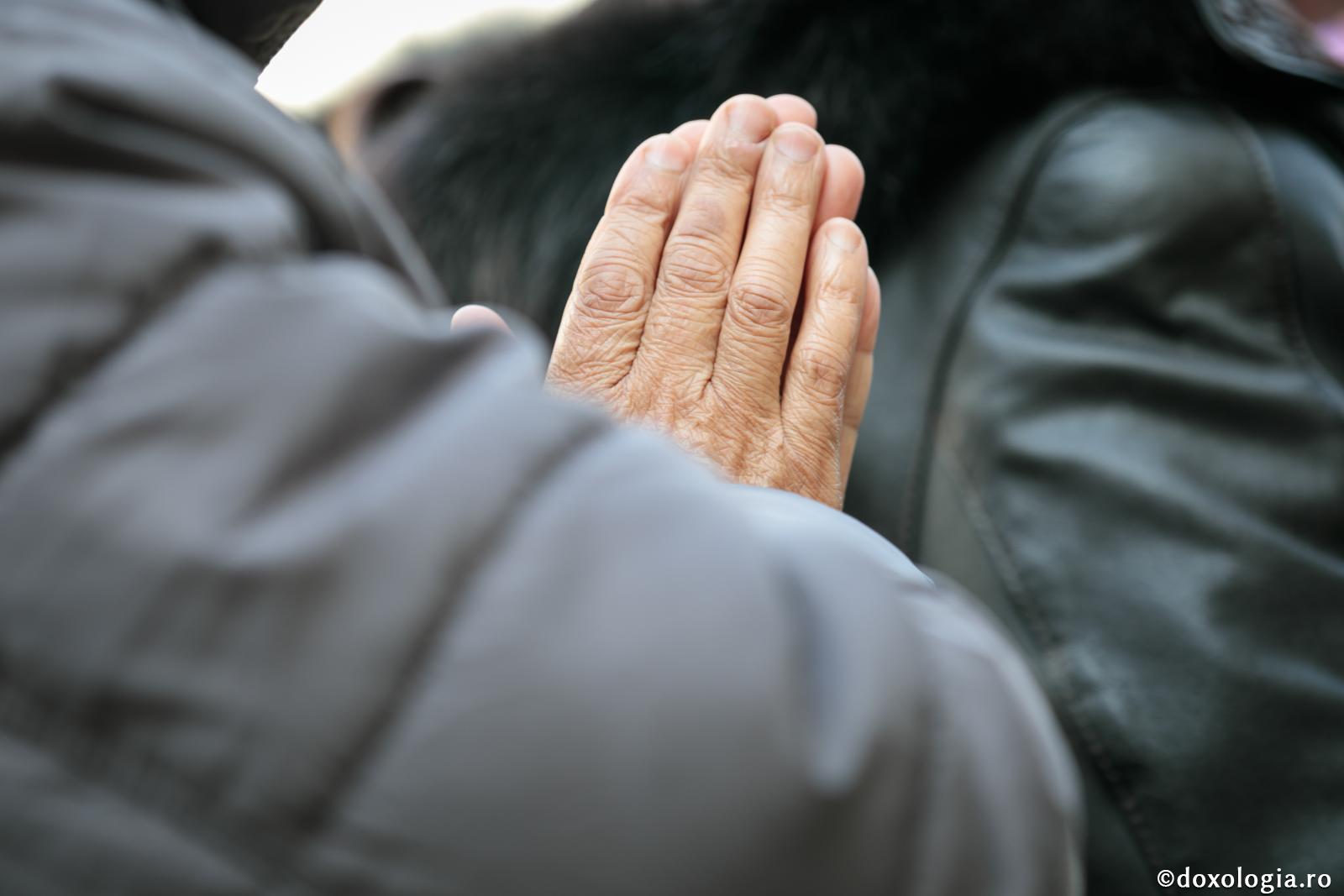 (Audio) „Începutul tămăduirii noastre este a ne vindeca de disprețul și judecata celuilalt” - Arhim. Nichifor Horia