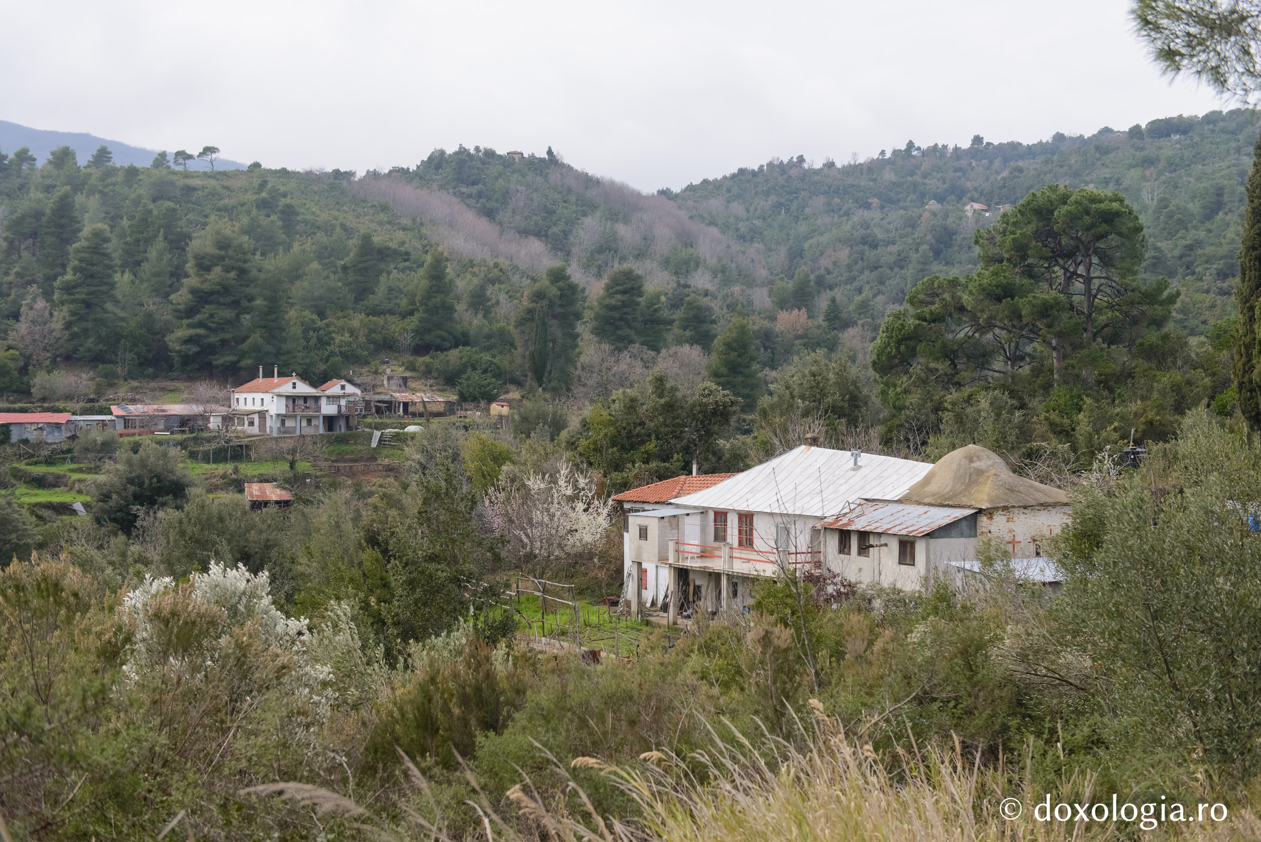 Părintele Grigorie Capsaliotul († 1839)